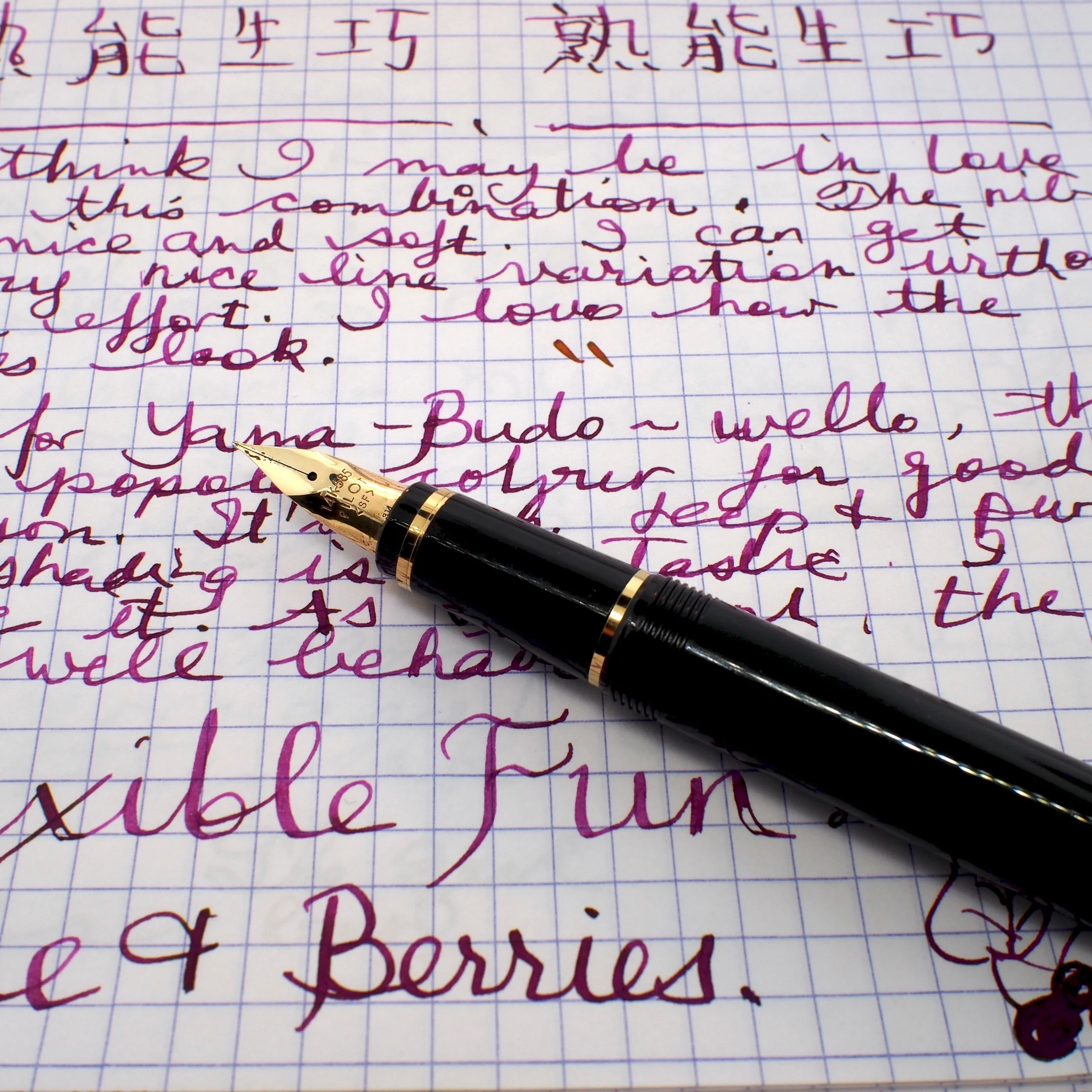 Throwback Thursday:  First Look at Pilot Falcon SF with Pilot Iroshizuku Yama-Budo