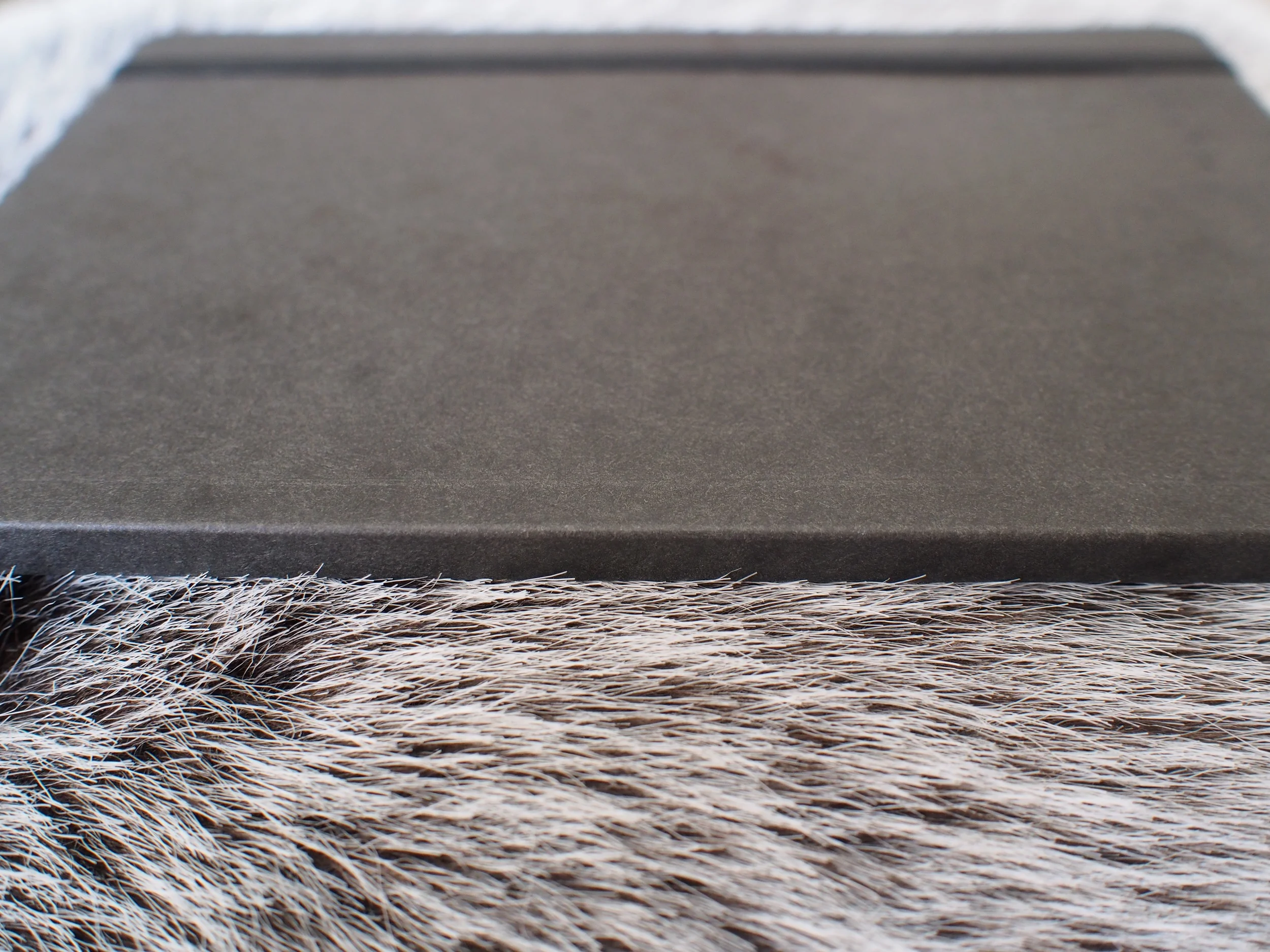 Spine detail