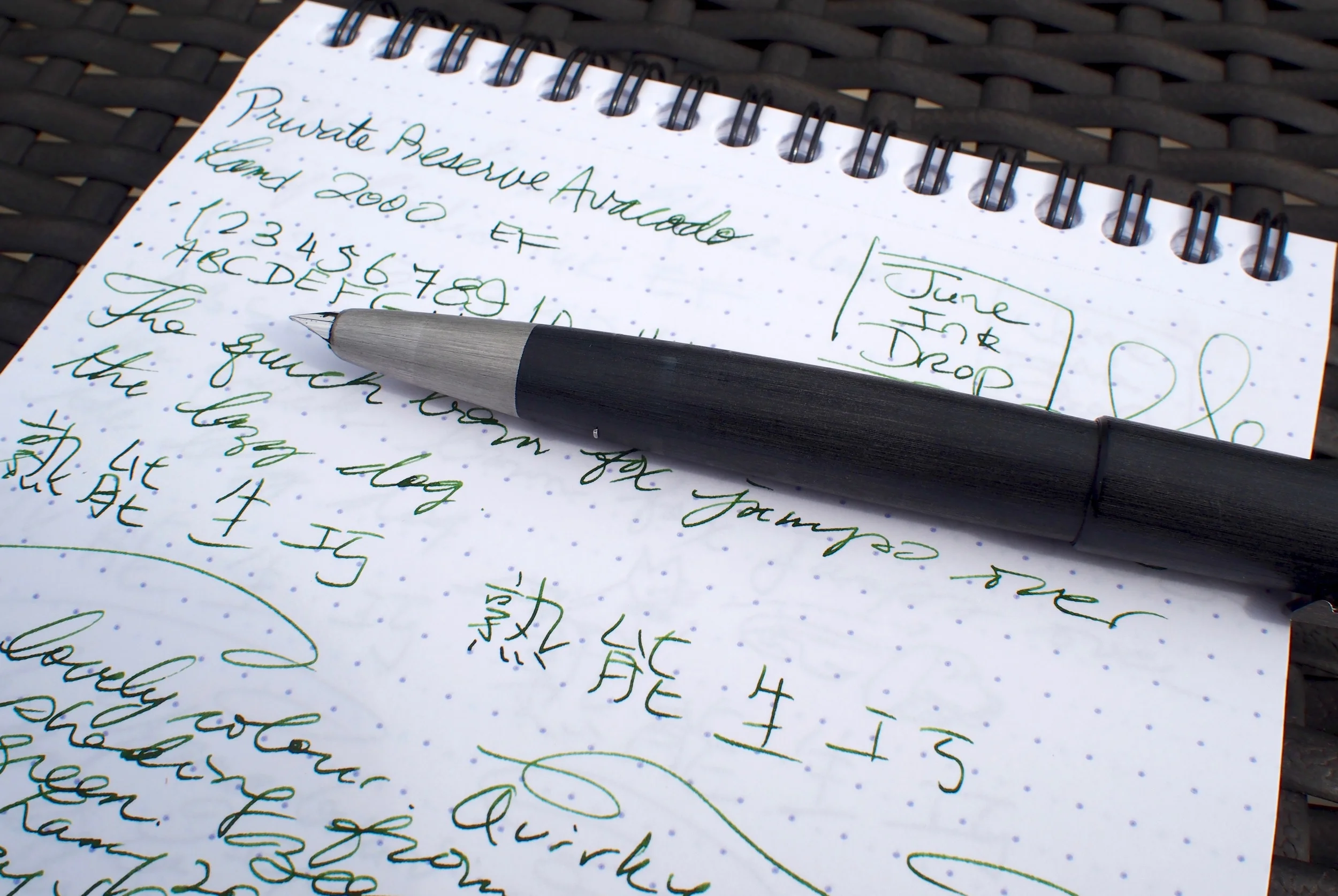 Throwback Thursday: Lamy 2000 + Private Reserve Avocado