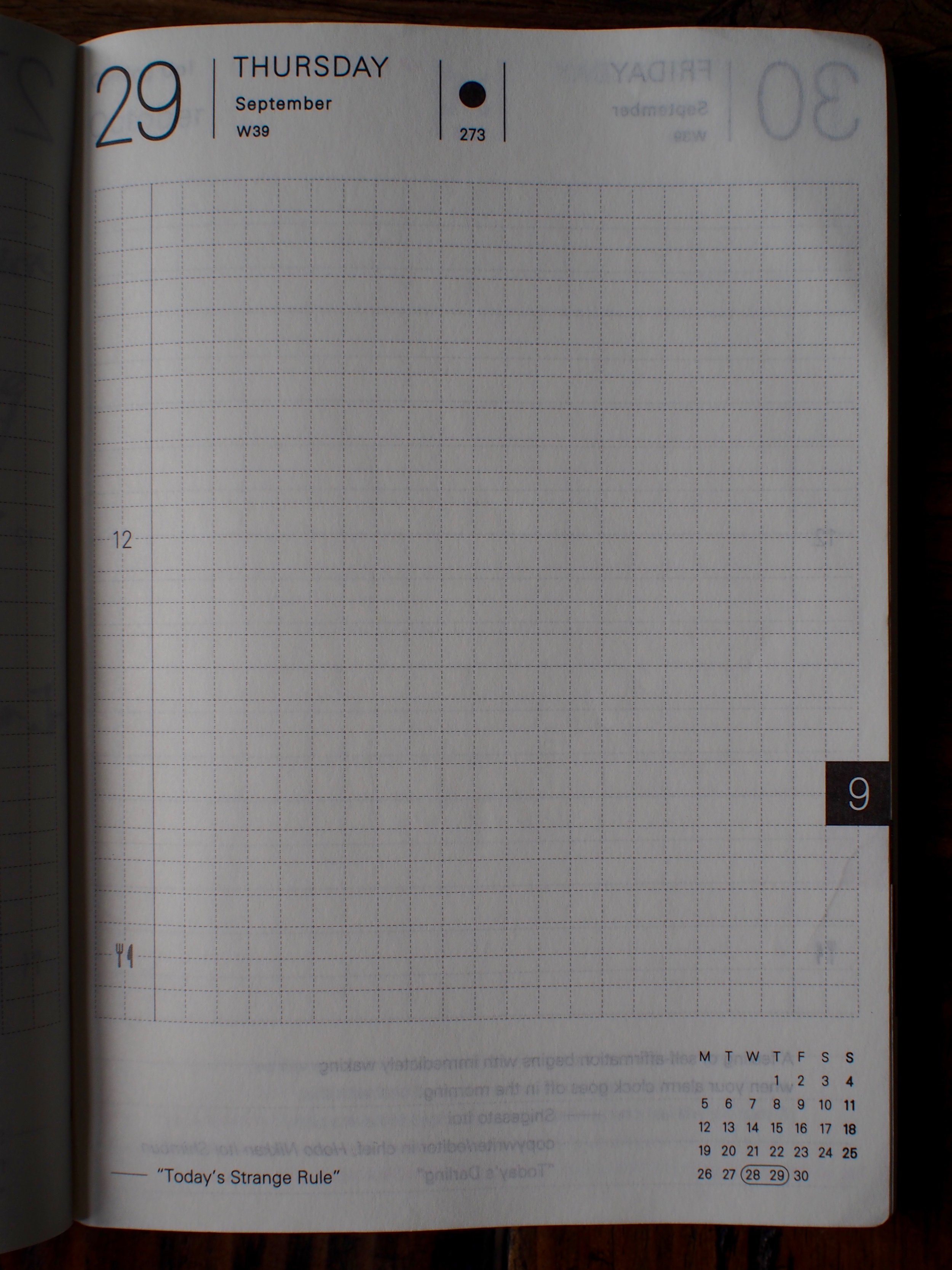 Hobonichi Techo Daily Page