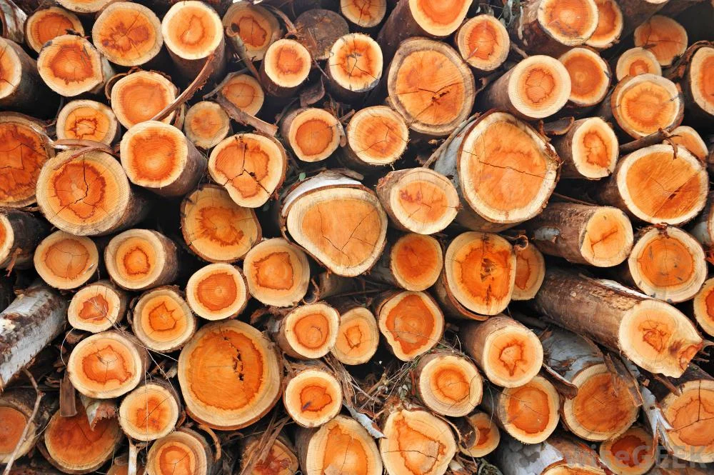 wood1.jpg