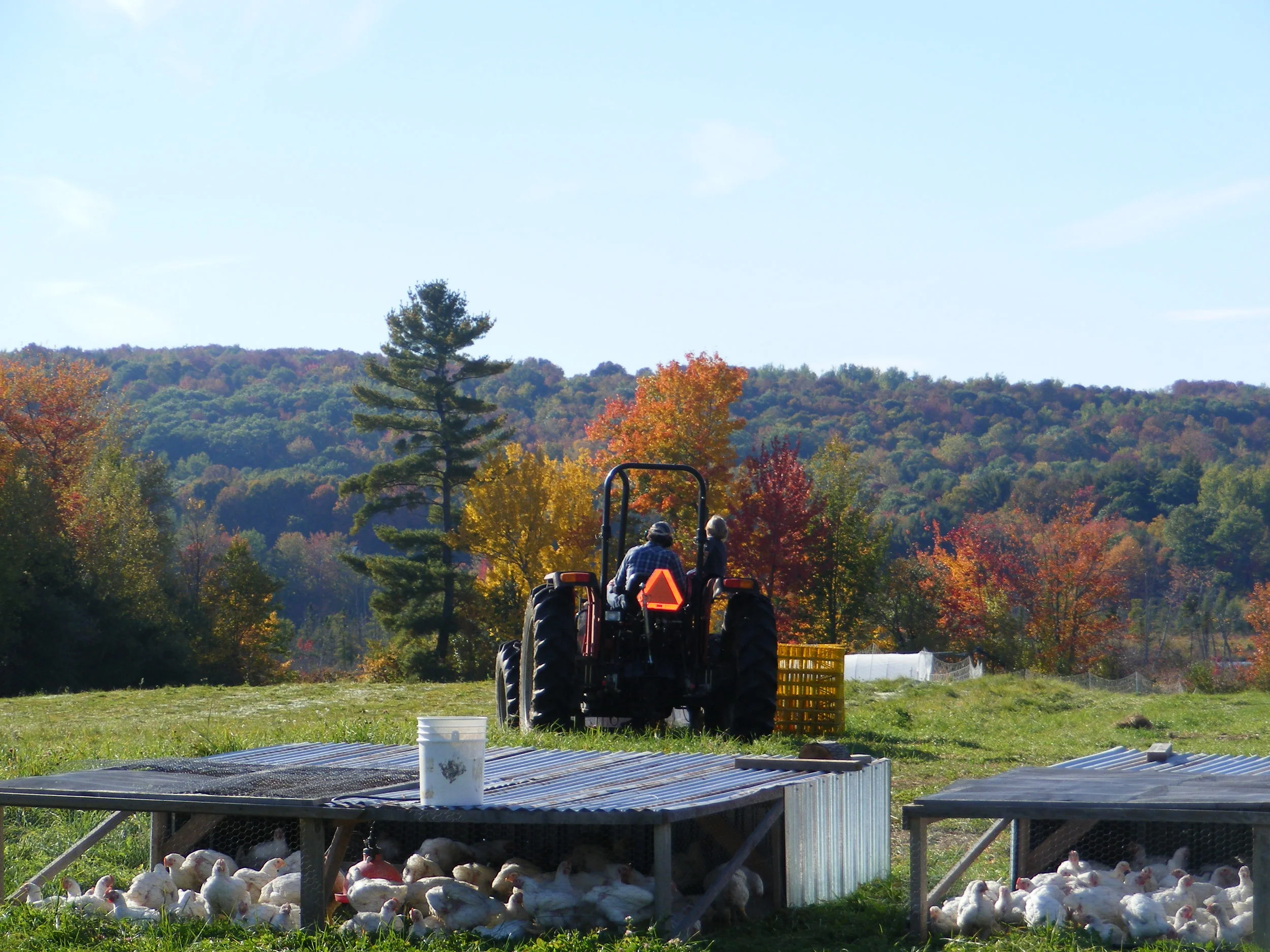 Gregg and Mojo Tractor 1.jpg