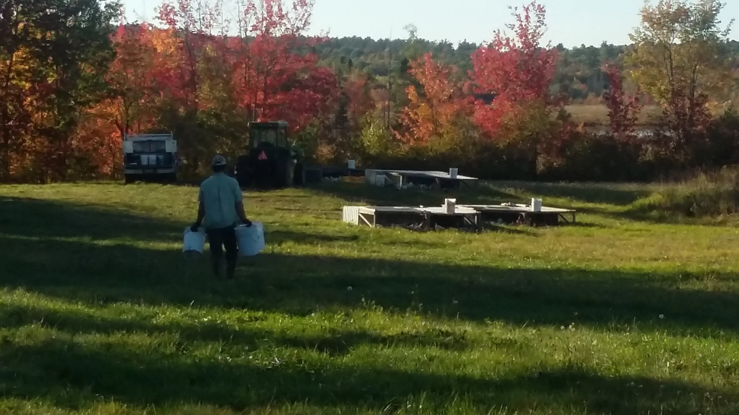 Grace Pond Field in the Fall