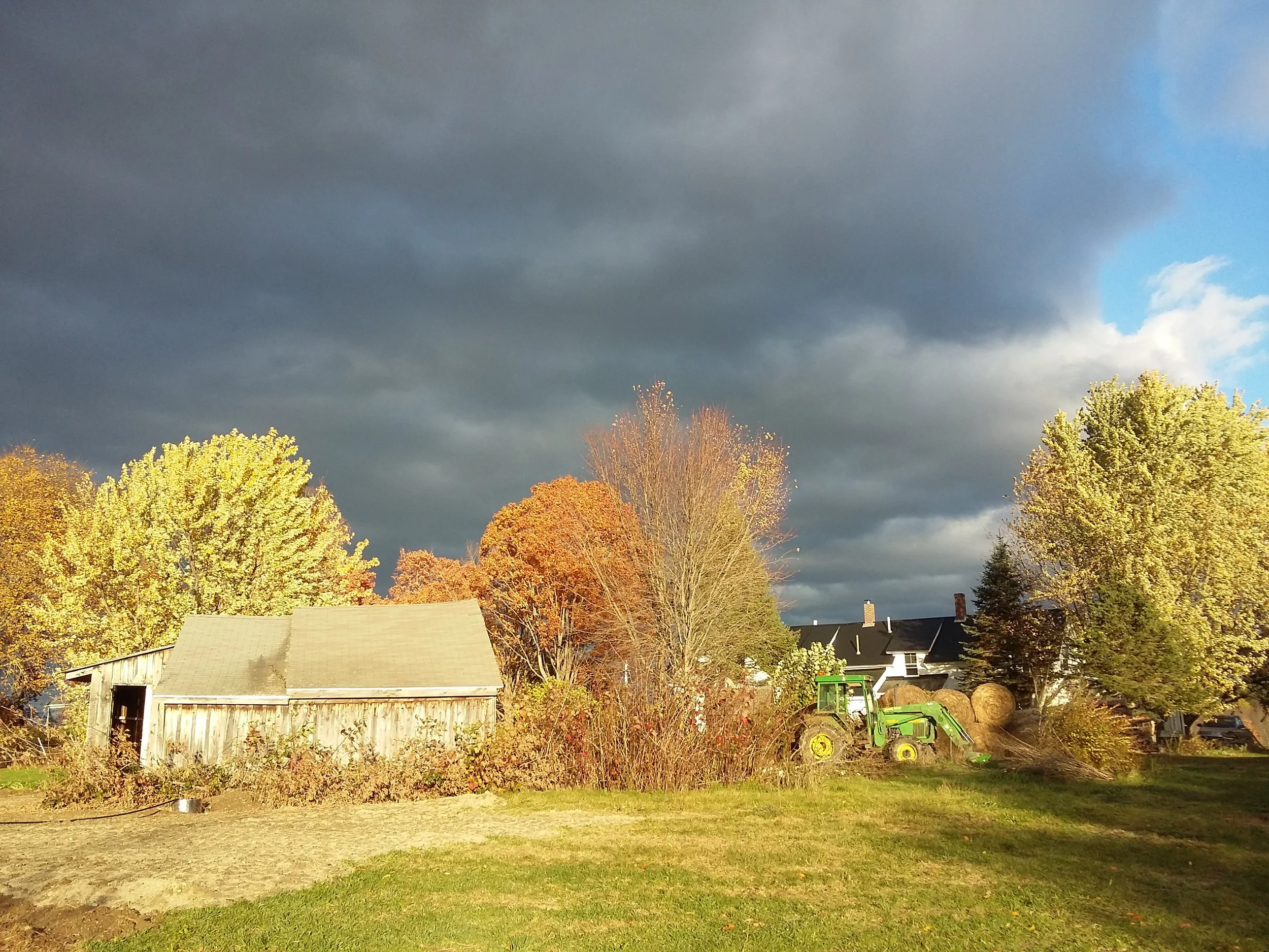 20161024_164002.jpg