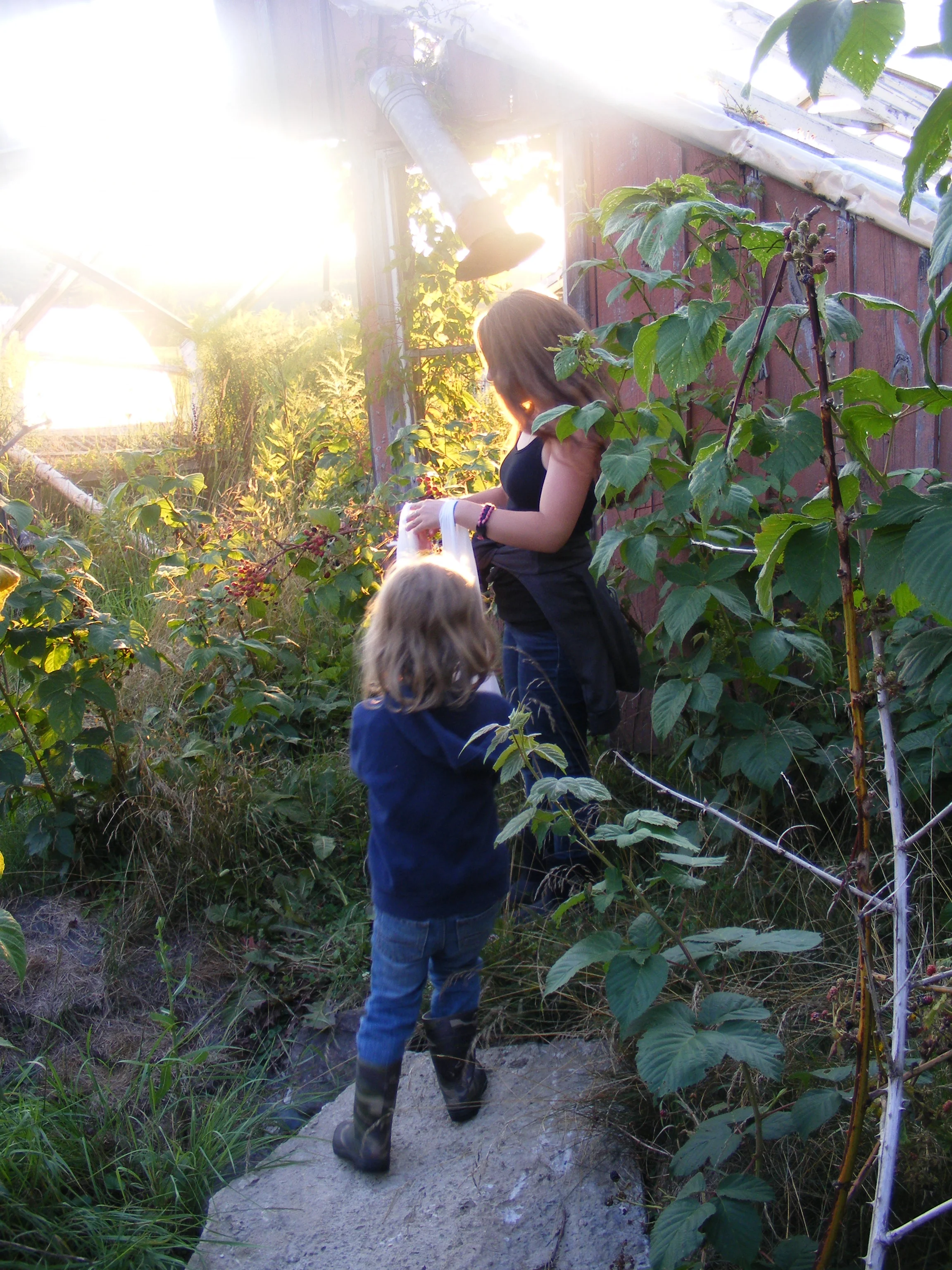 Berry Picking kids.jpg