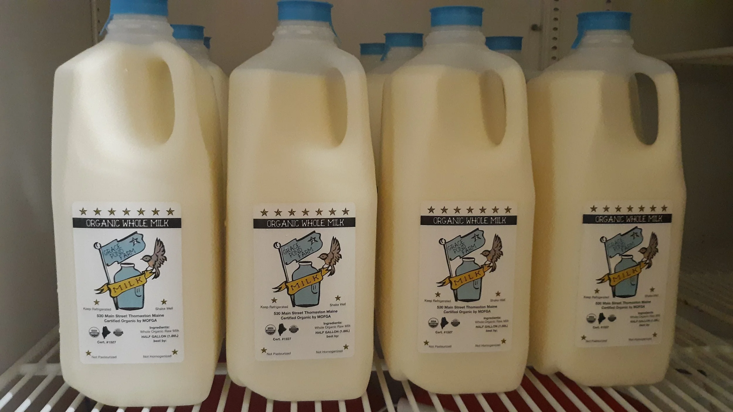milkjugstogo.jpg