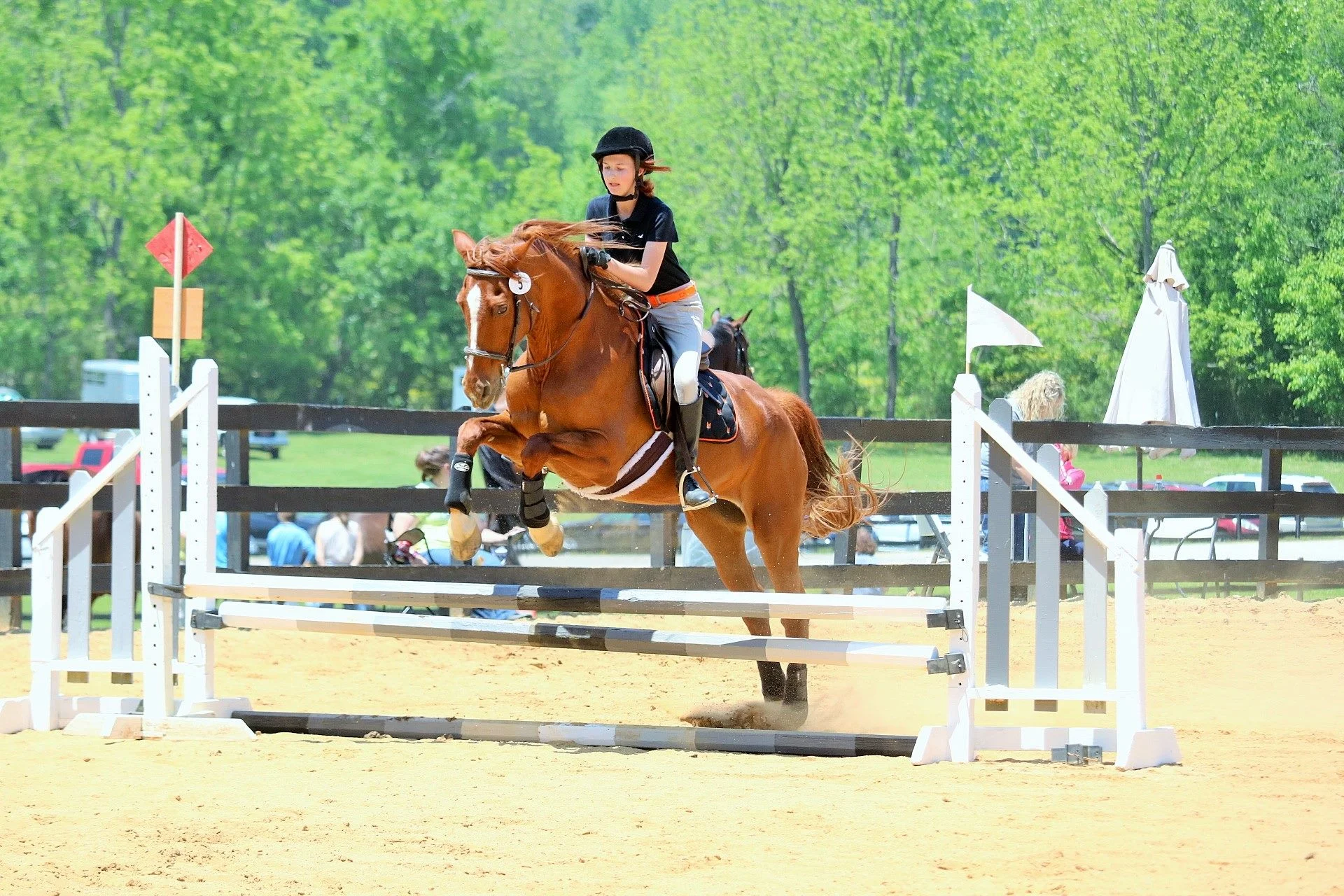 jumping foxberry.jpg