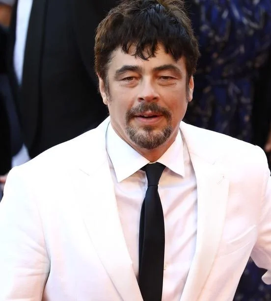Benicio Del Toro