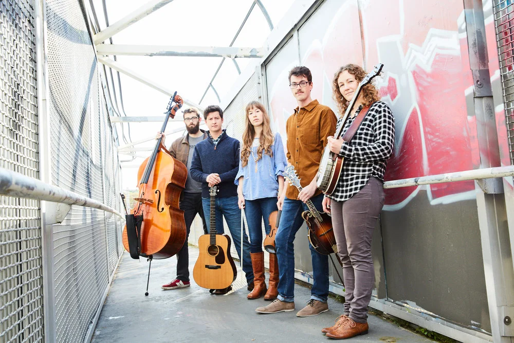Winter Concerts Are Back!