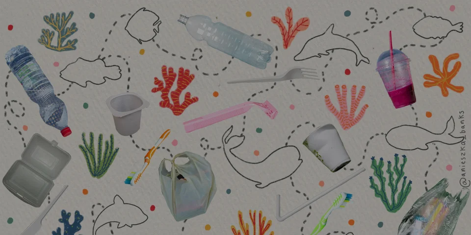 War on plastic 960x480.jpg