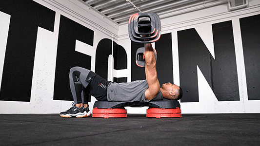 Pulses - chest press gif.gif