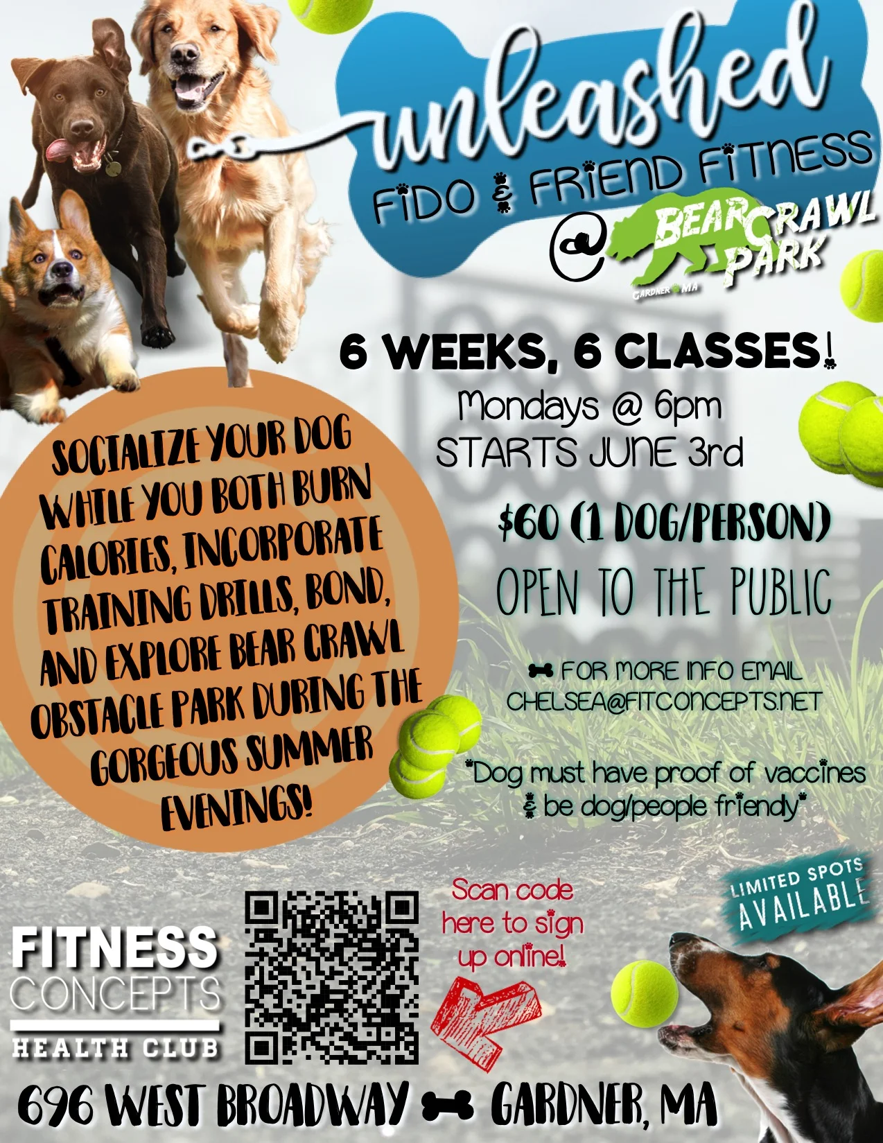 unleashed fido and friend fitness.jpeg