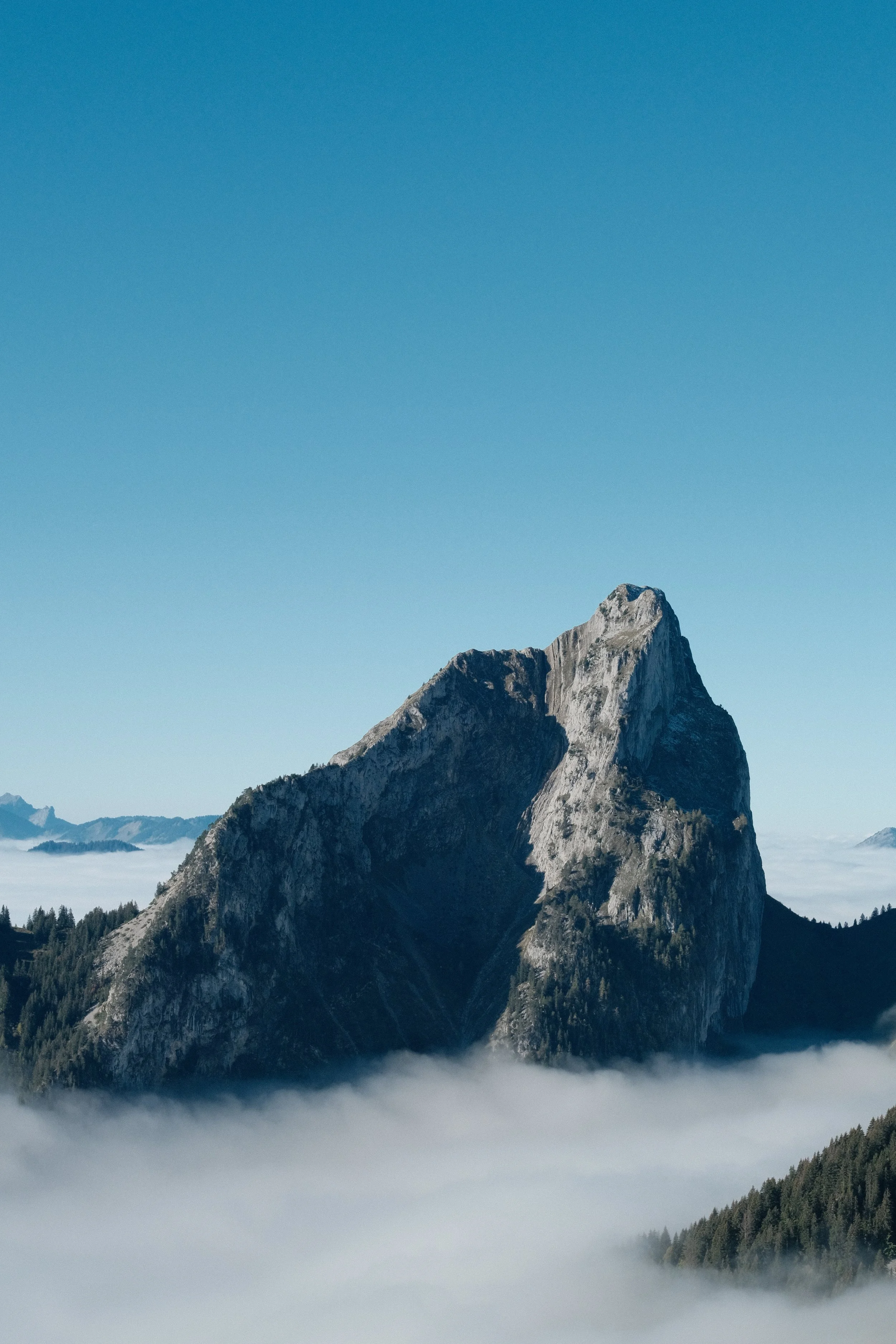 89E3E8E6-6D3E-486A-AB3C-5C0ADB93E07F-1943-000000FE7D9A9381 4.JPG