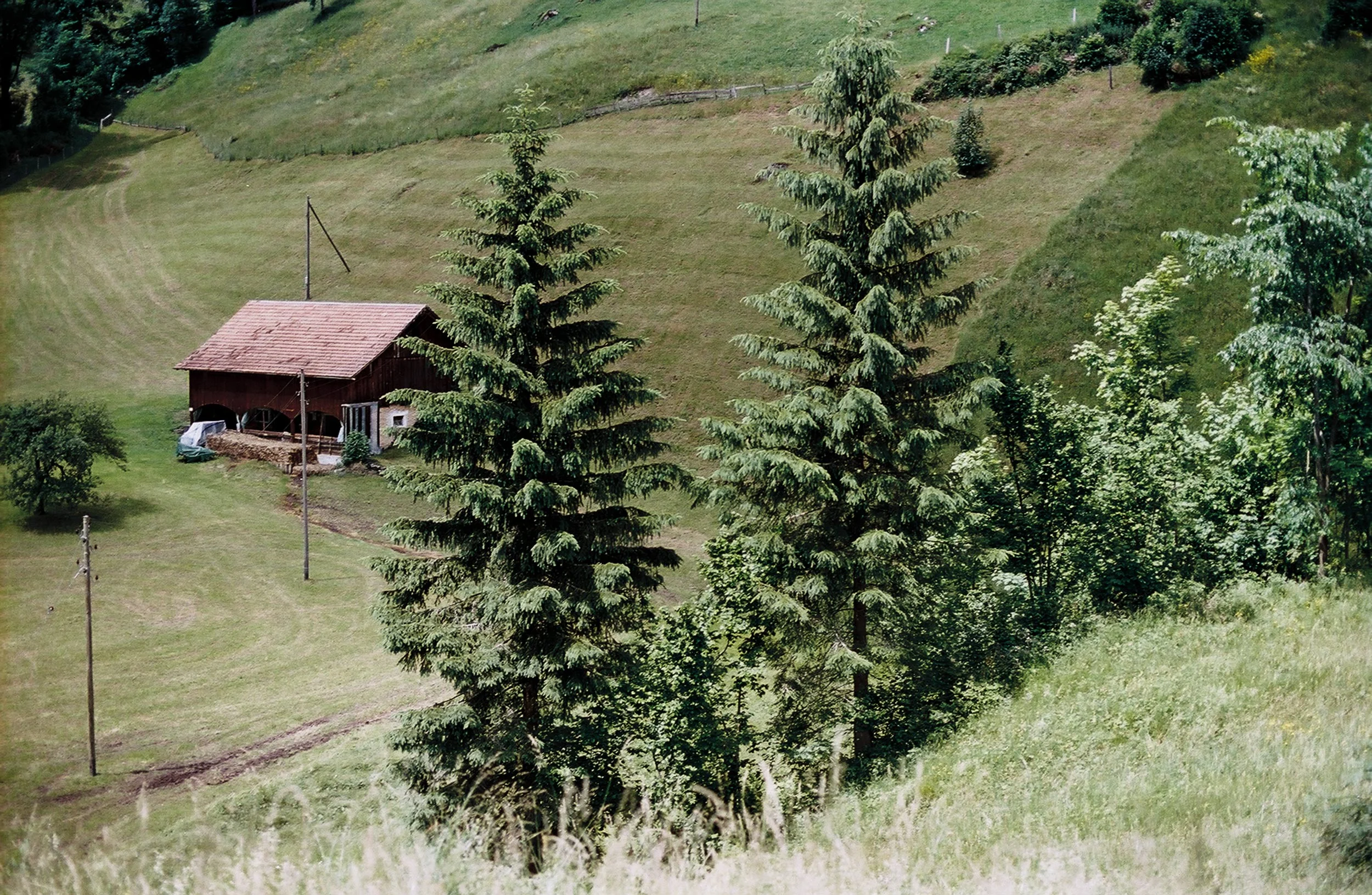 Kt.Uri, 2012-2016