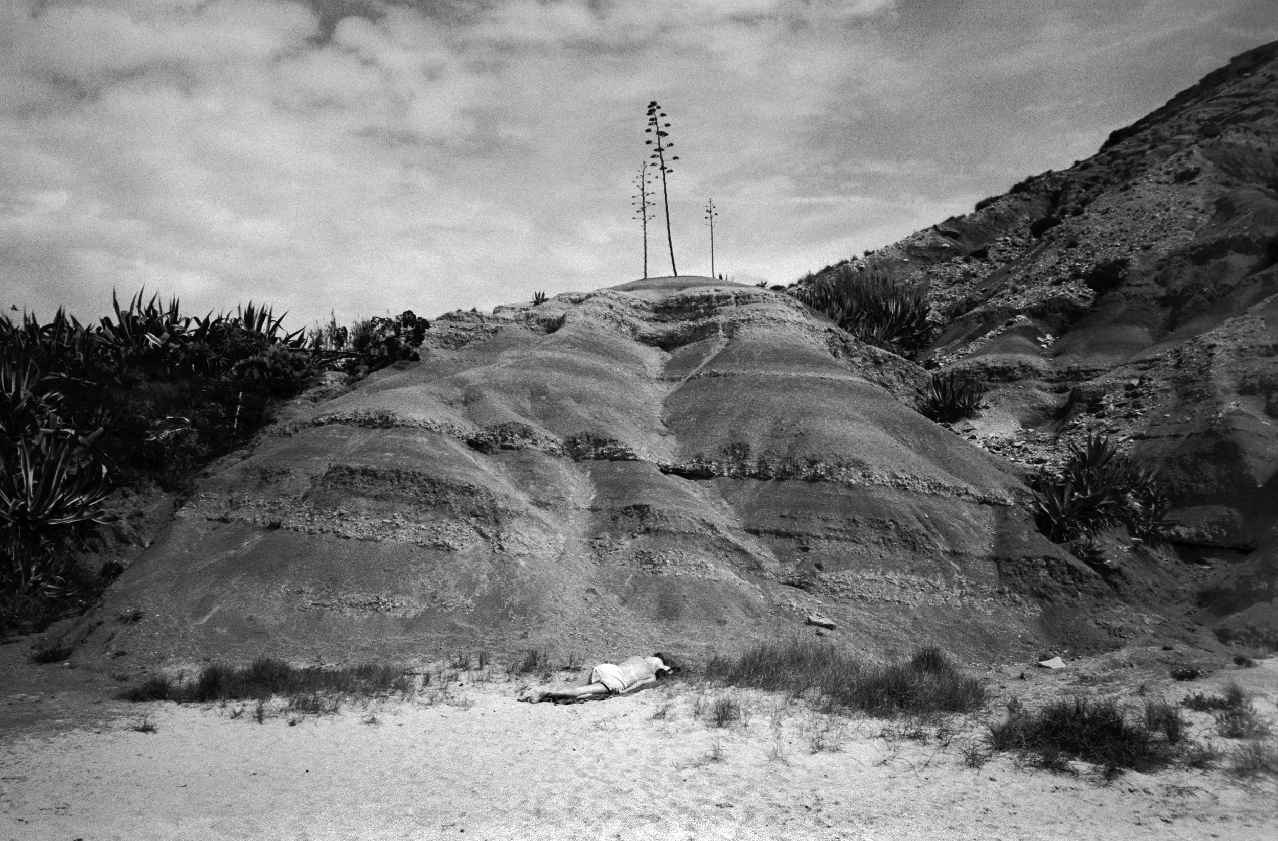 Landschaften / 2014 - 2017
