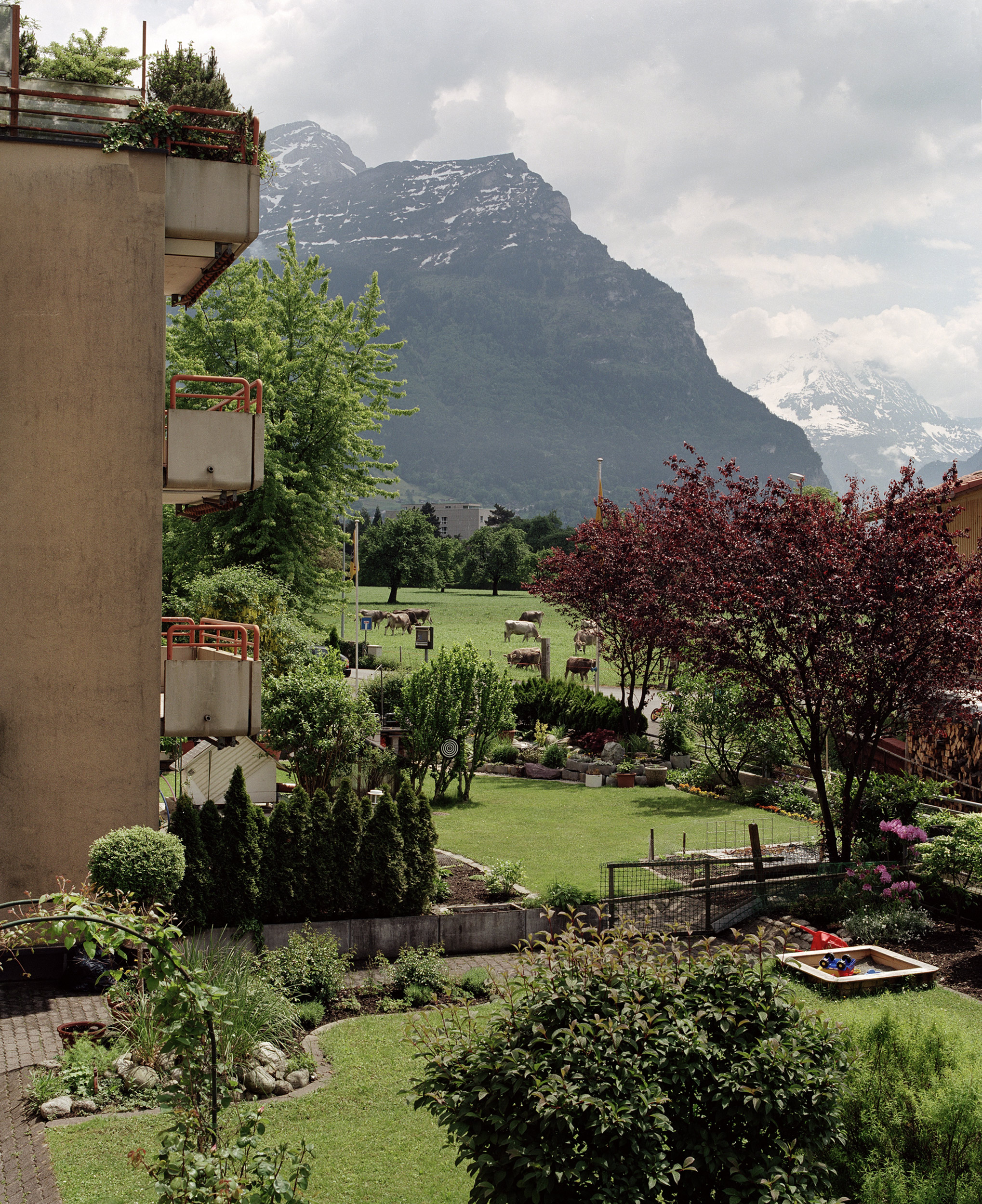Aussicht / Kanton Uri
