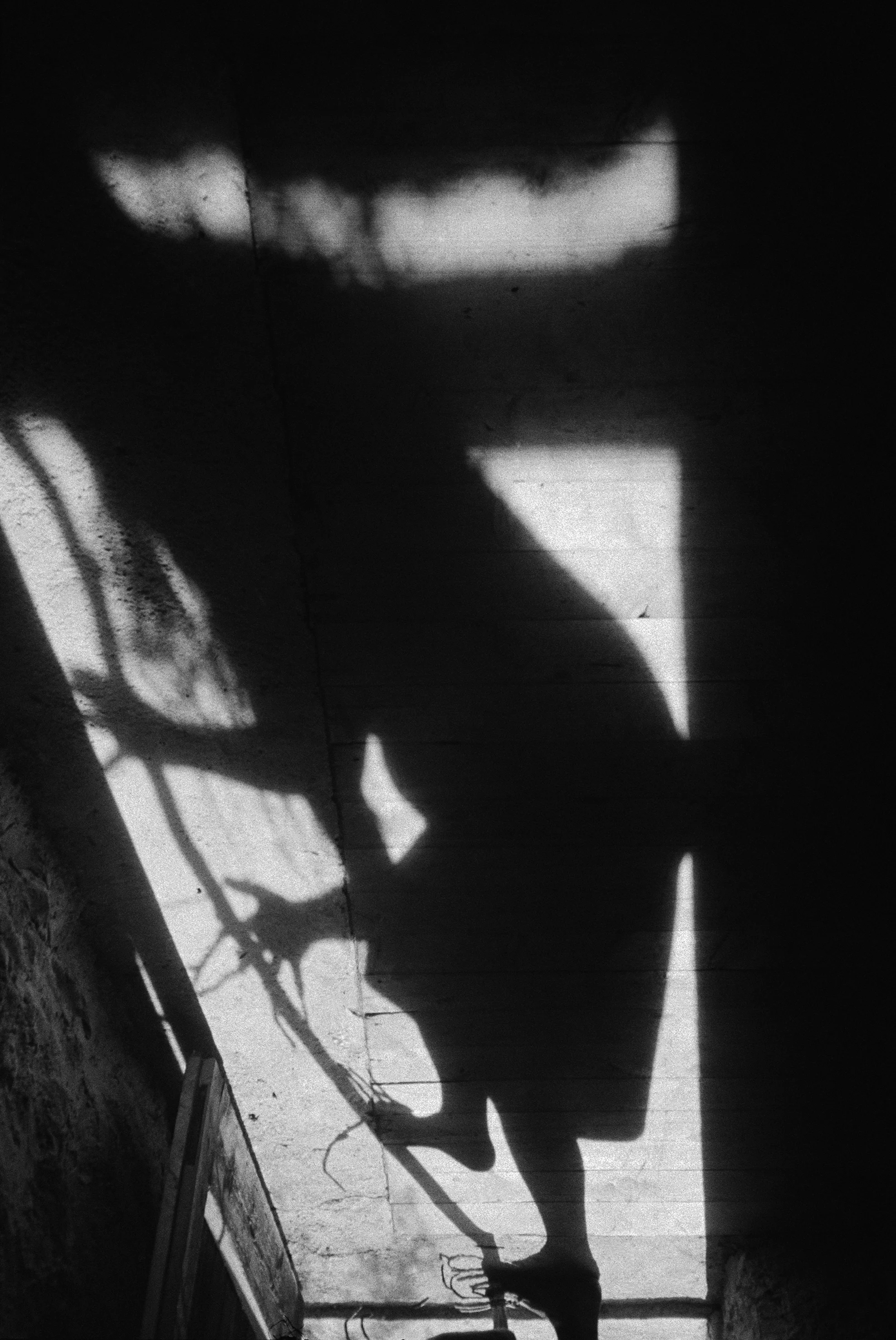 N.Bissig_Schatten_12_01_18.jpg