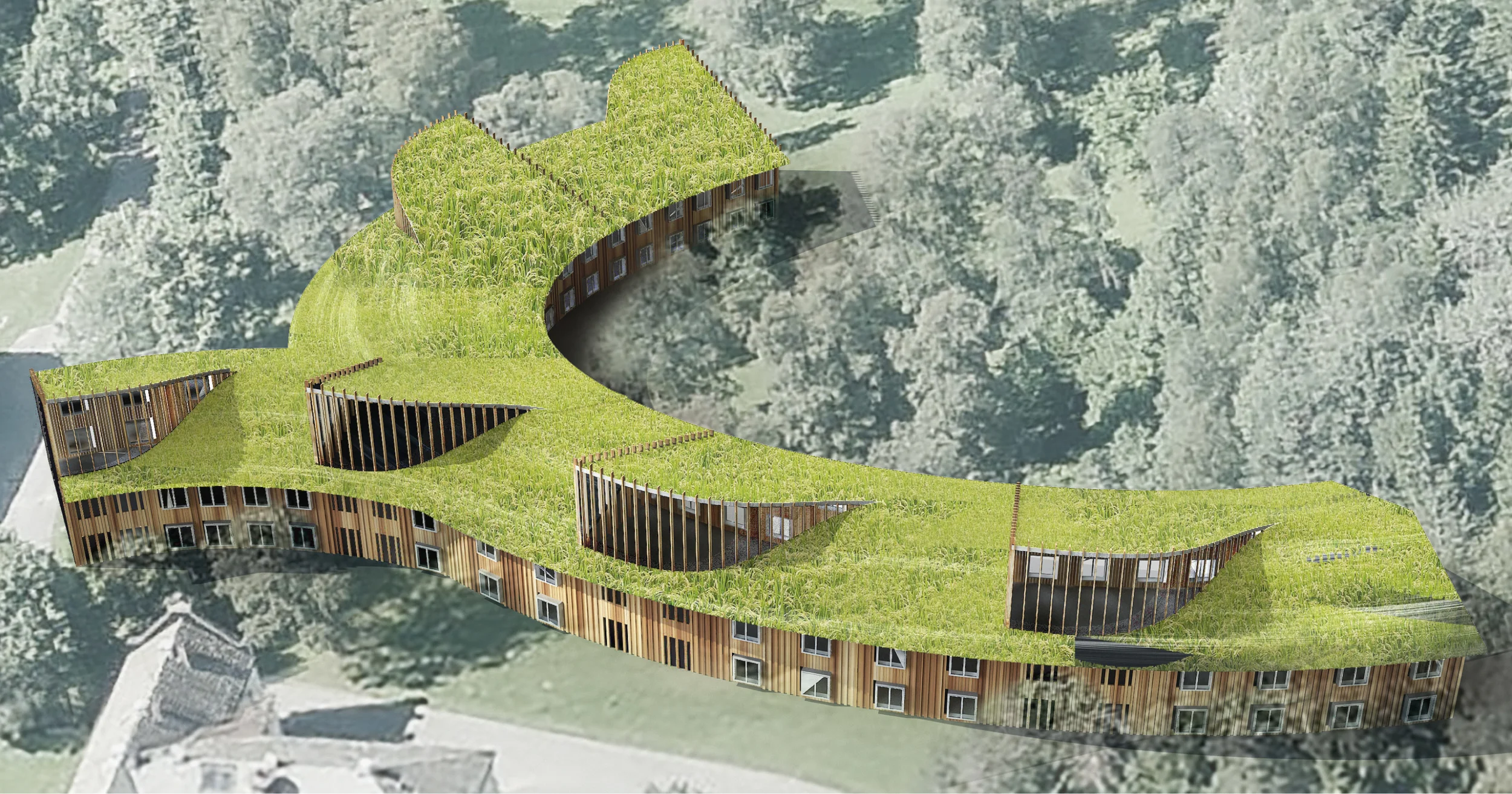 mano architecture benjamin loiseau bertrand de cointet economie et cooperation 6.jpg