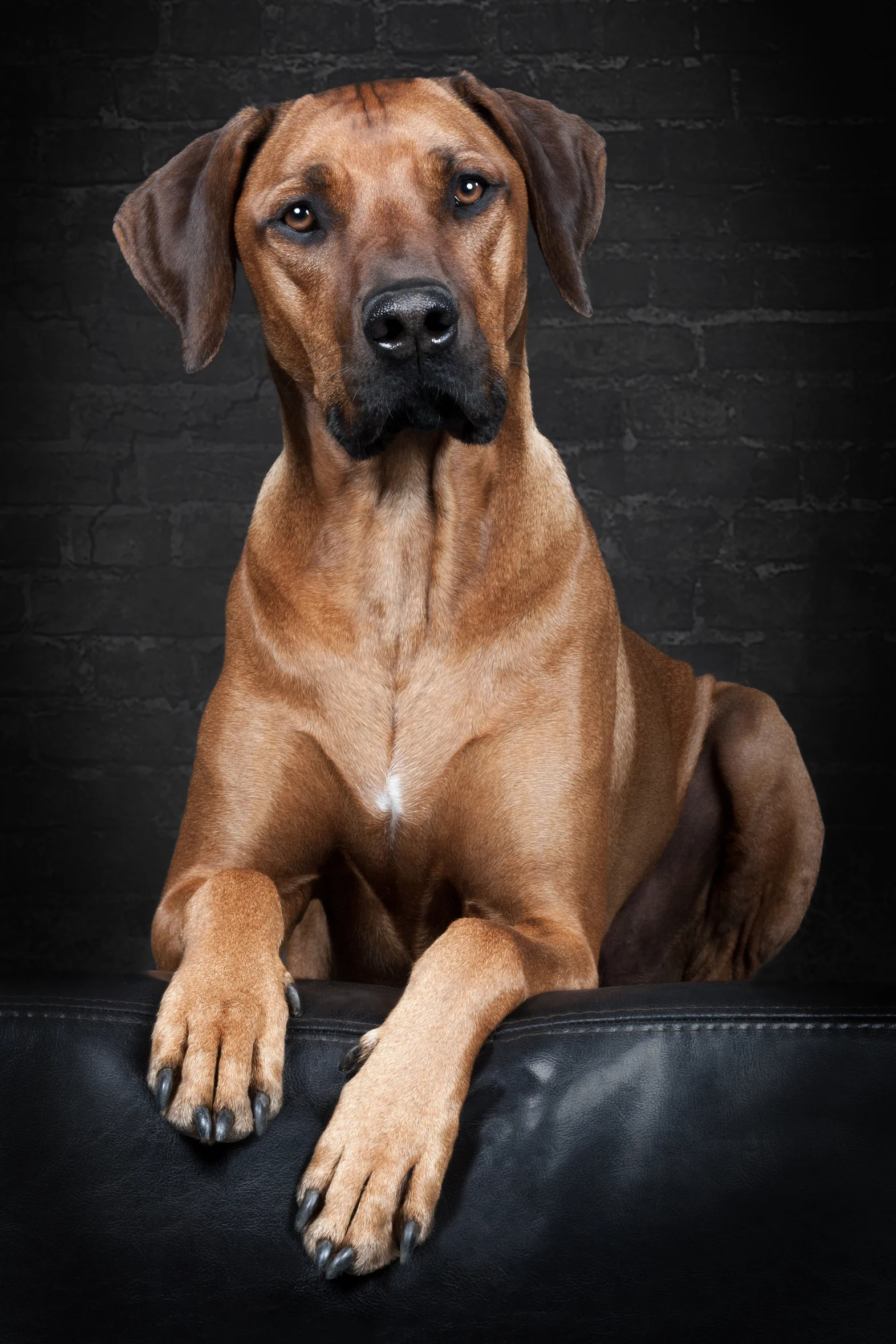 Fotolia_95274873_L.jpg