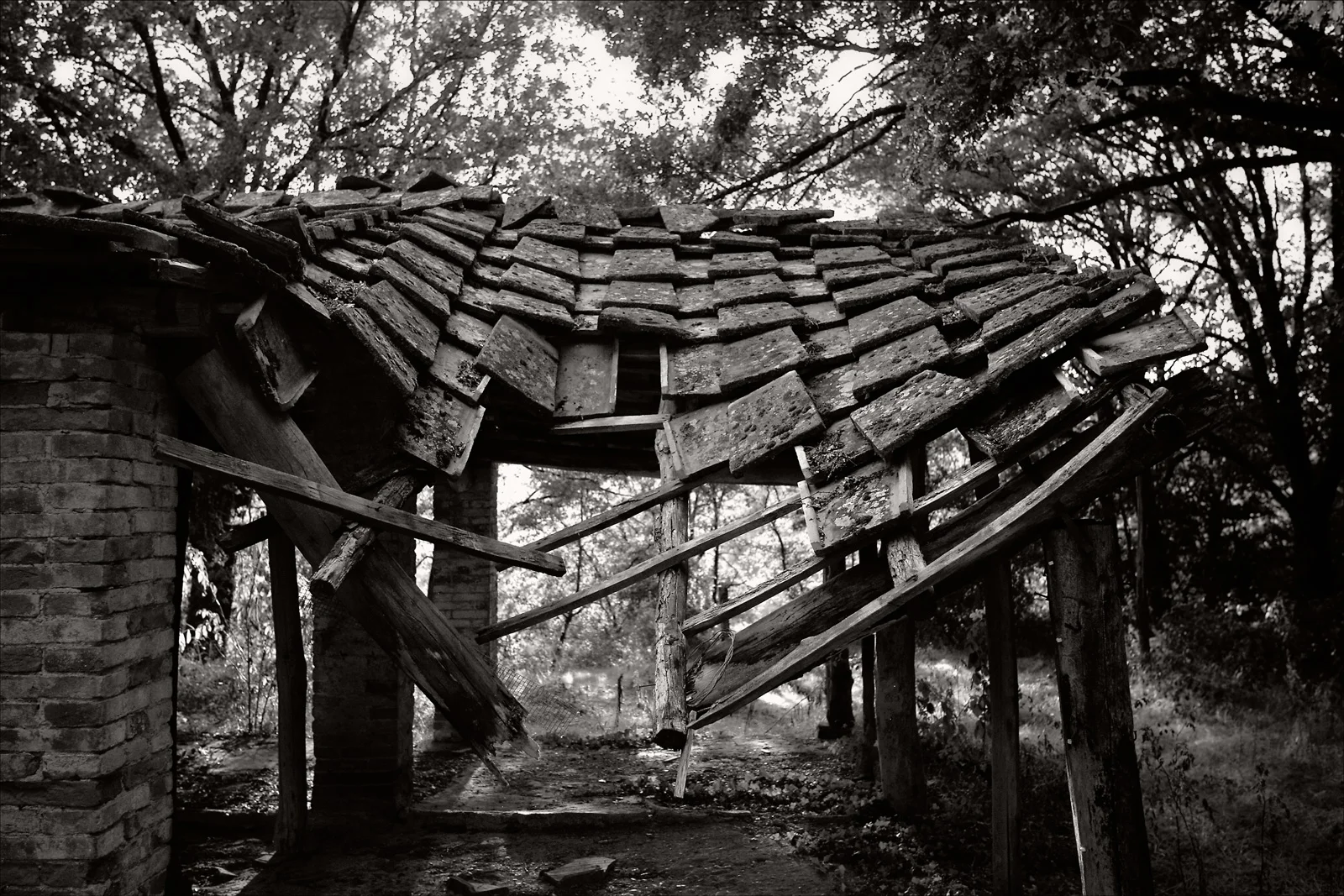 A_GI8X8252_bw_50x75.jpg