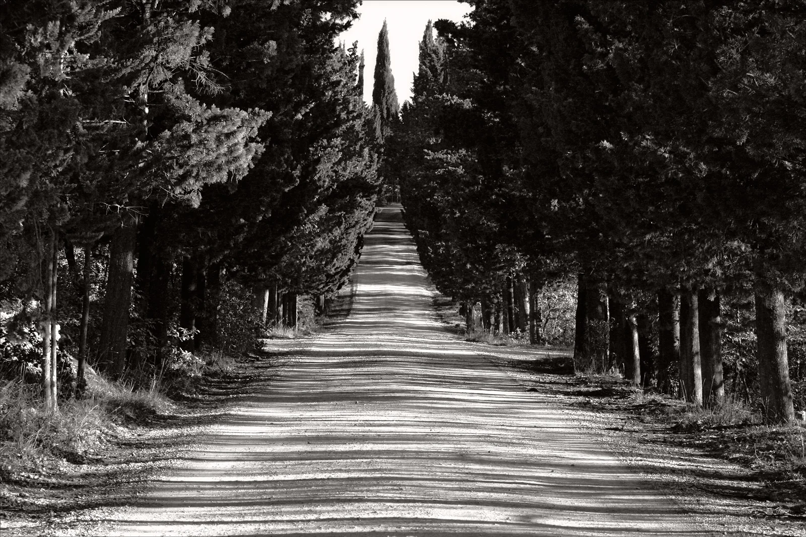 A_IMG_7050_bw_50x75.jpg