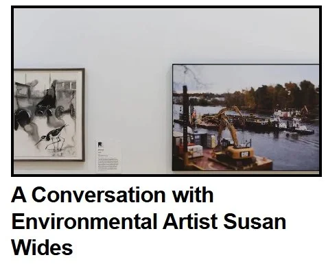  Image of framed photography in a gallery.  