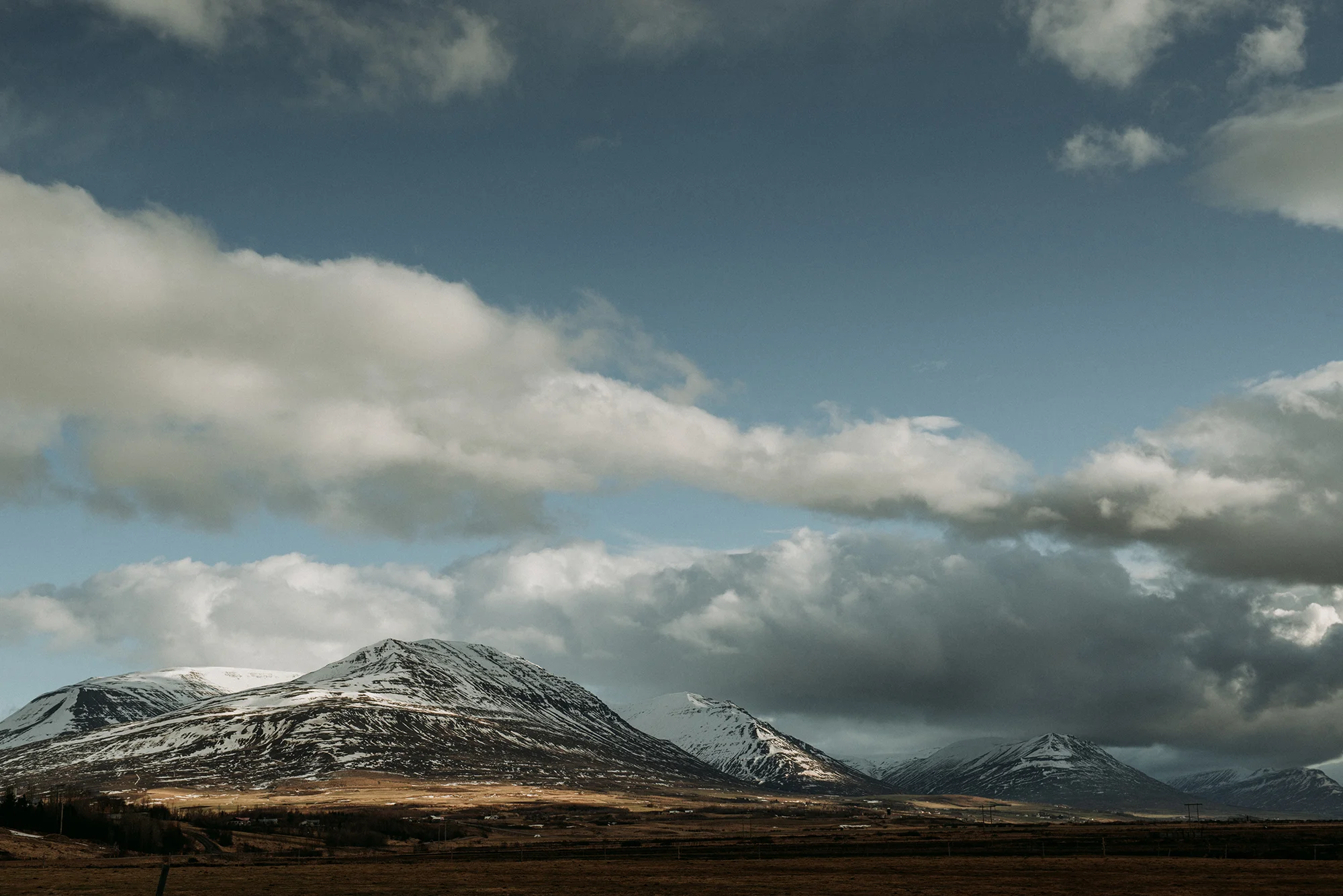 DSC_7999.jpg