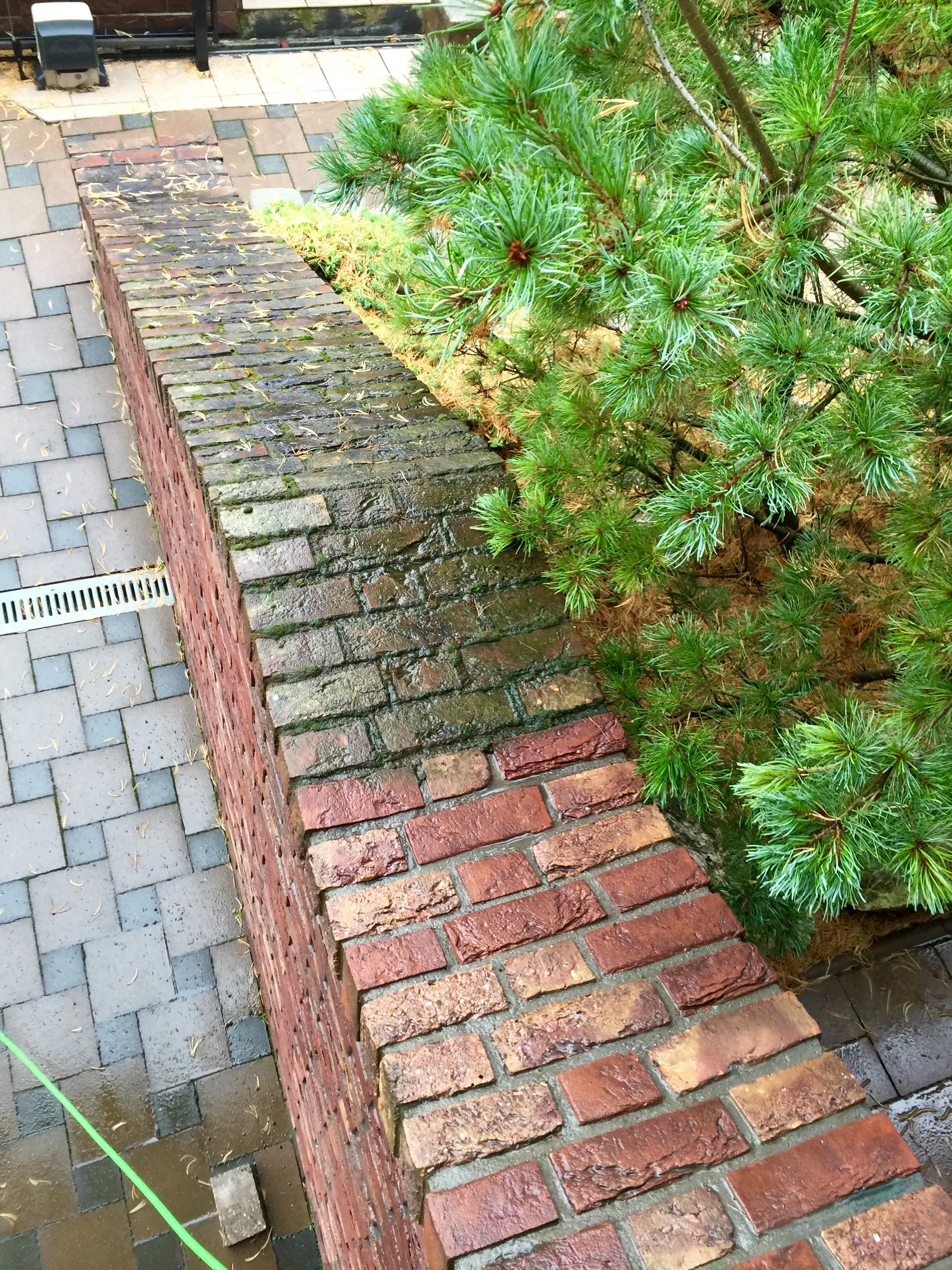 IMG_7991.jpeg