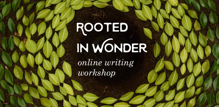 rootedinwonderonlinewritingworkshop.jpg