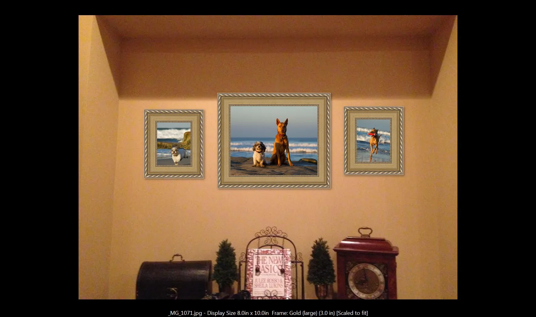 Choosing the correct sizes for this space was quick and easy! She went with one 20x24 flanked by a pair of 11x14's, all in attractive gold frames. Her pets really bring her office alcove space to life!