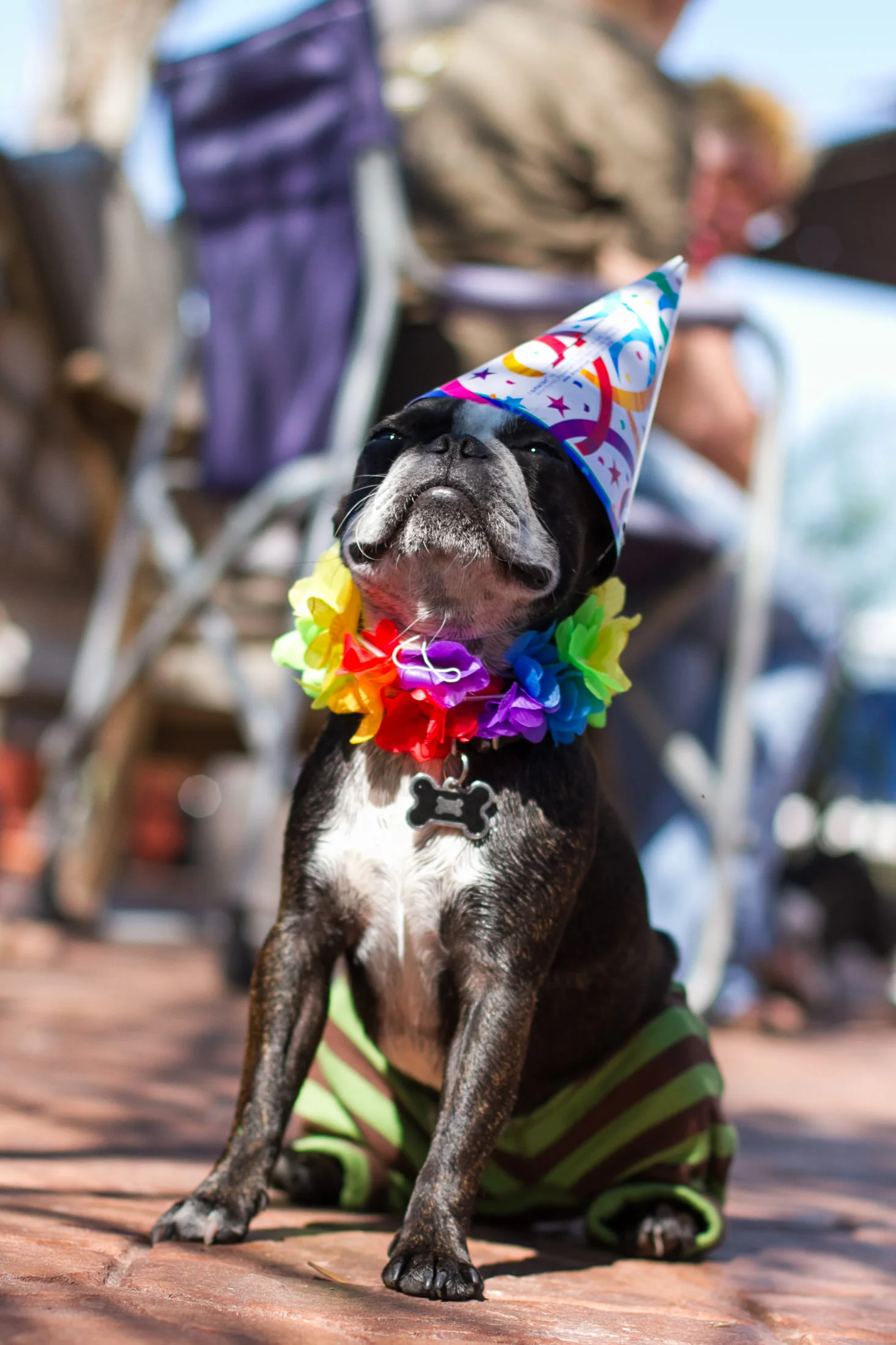 It's My Party