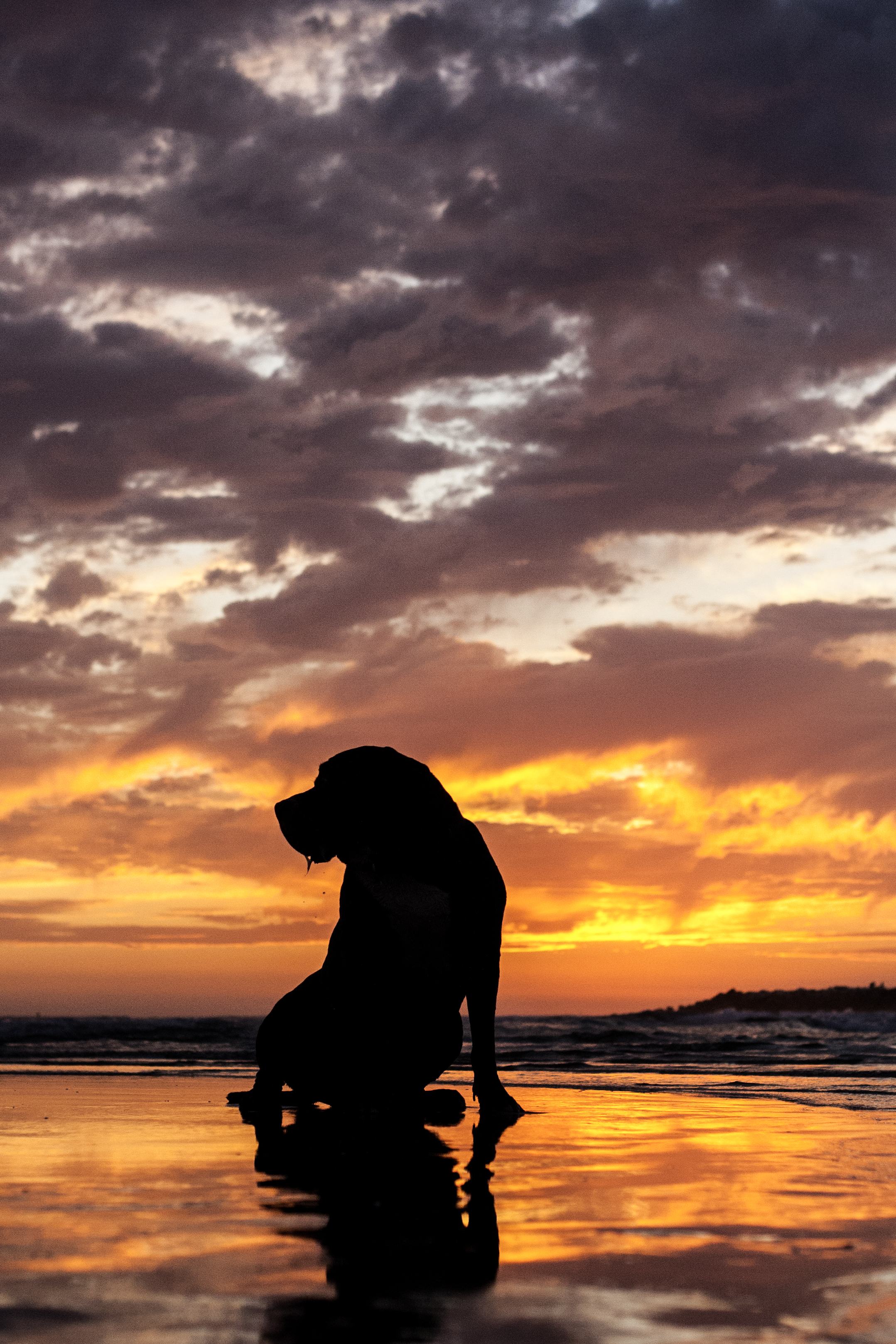 Debo and the Sunset