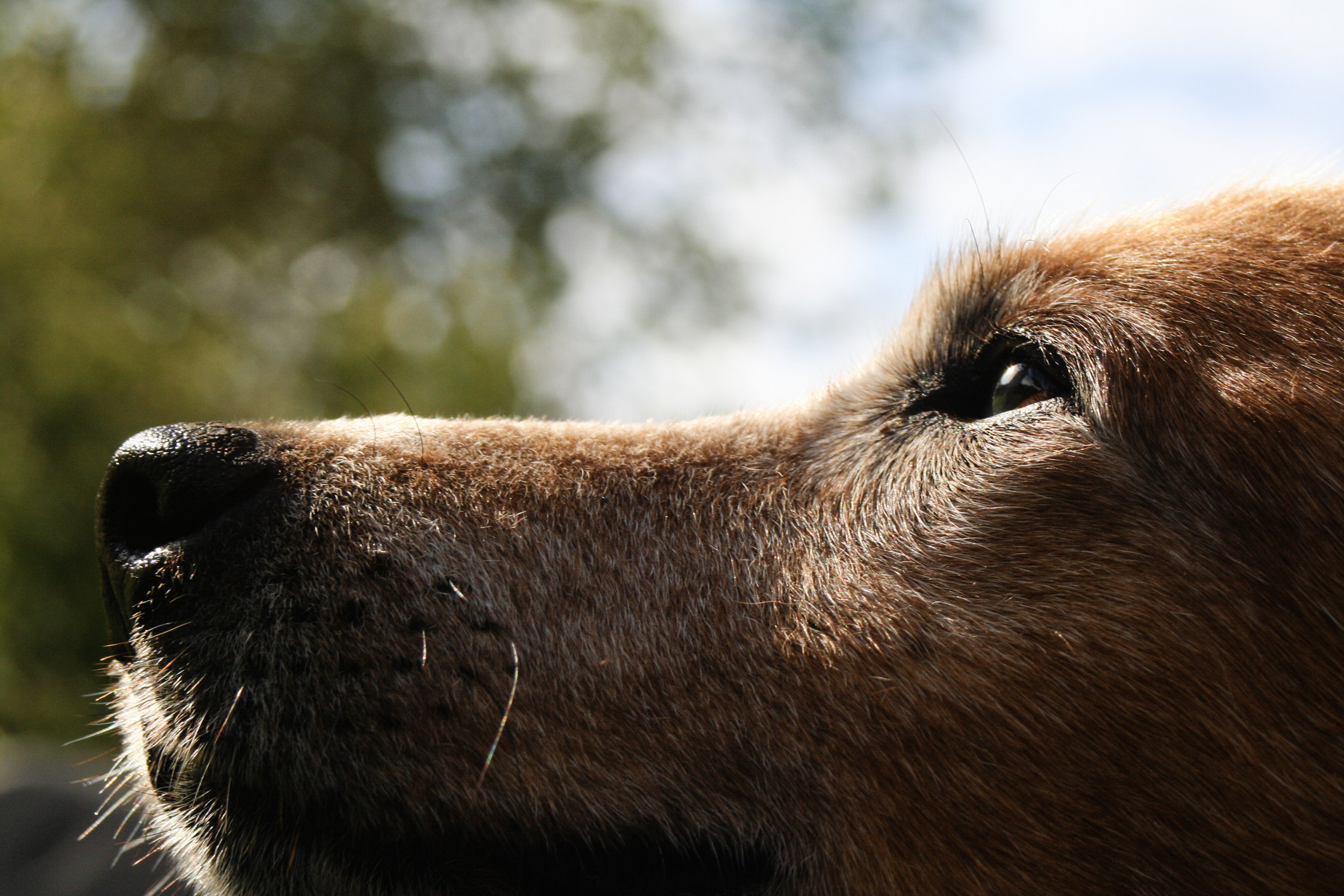 Ruby's Good Eye