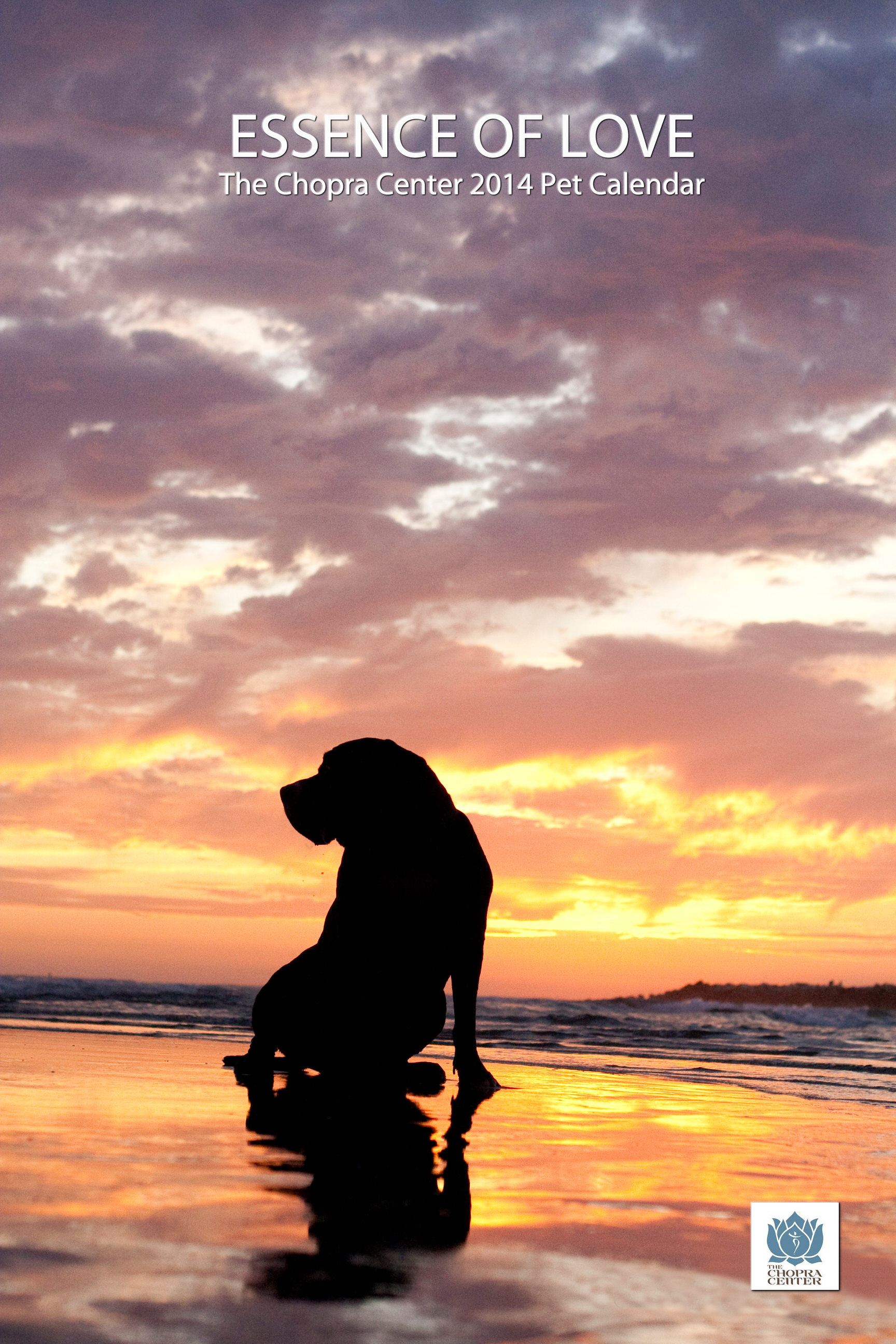 Big Dog Sunset.jpg