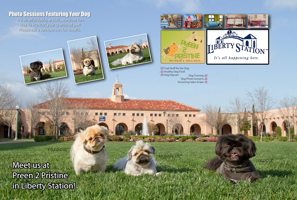 Pekingese Dogs at Liberty Station.jpg
