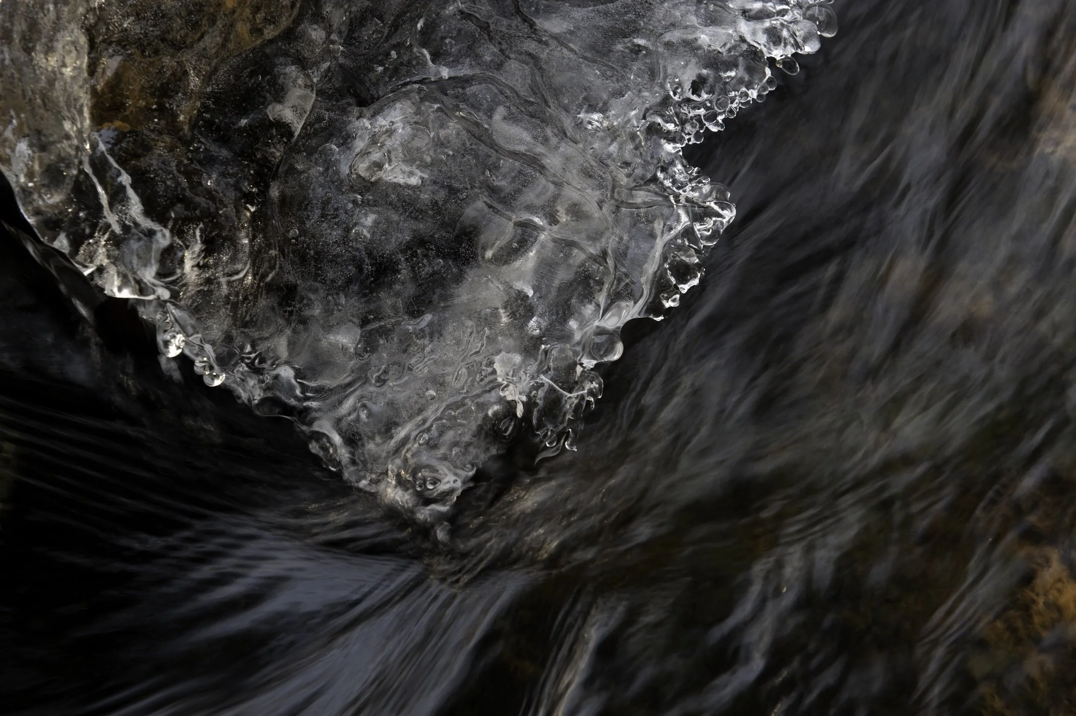 Coxing Water and Ice 6820 copy 2.jpeg