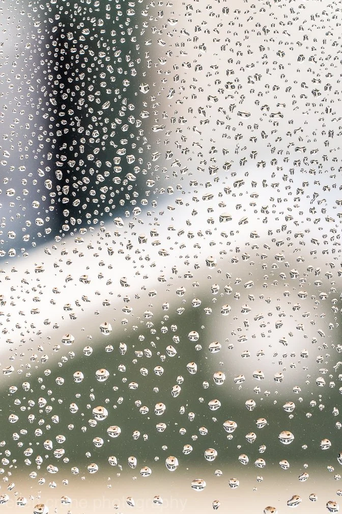  Vertical View (Love your Neighbor) 