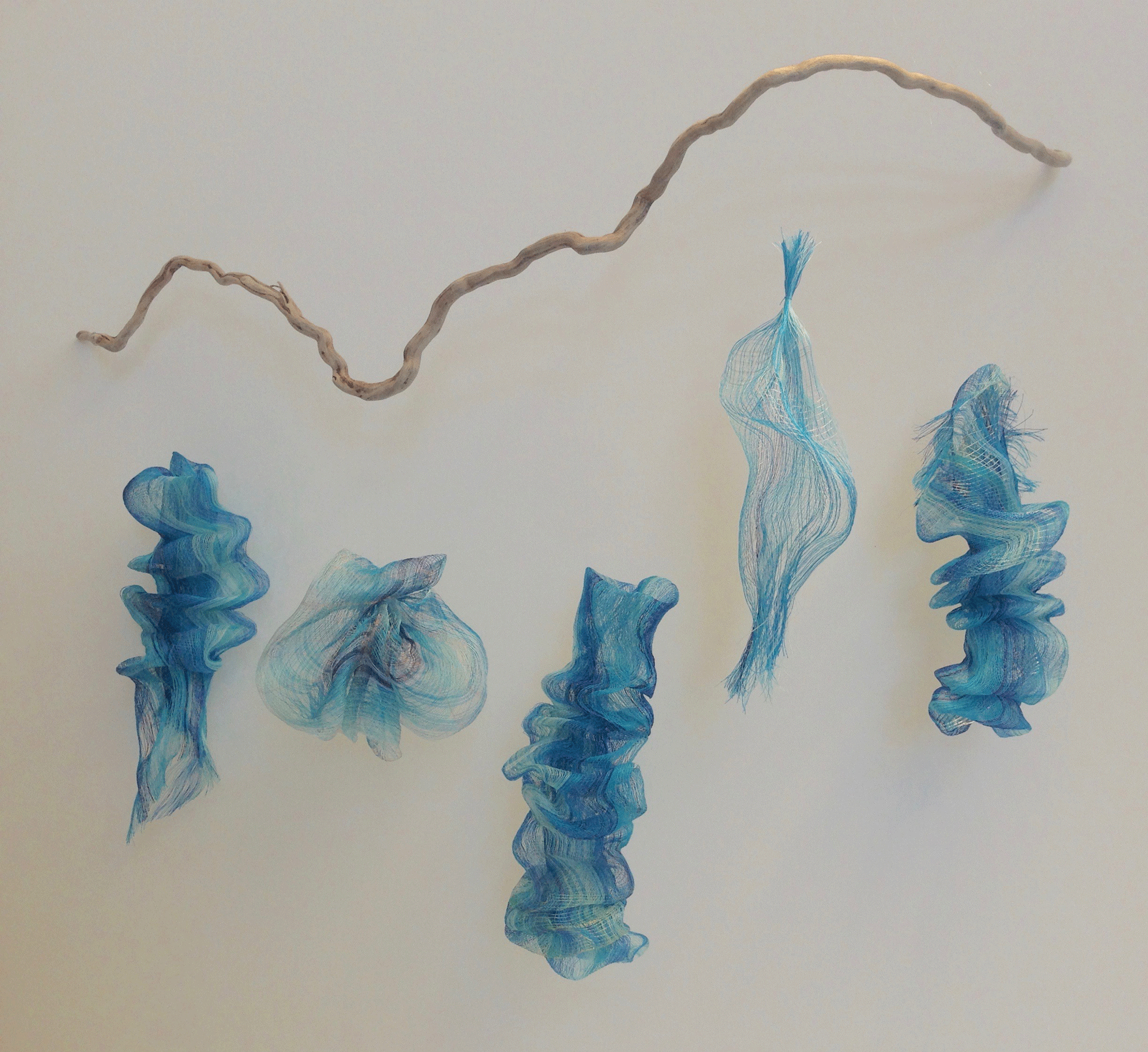 Blue Spinners