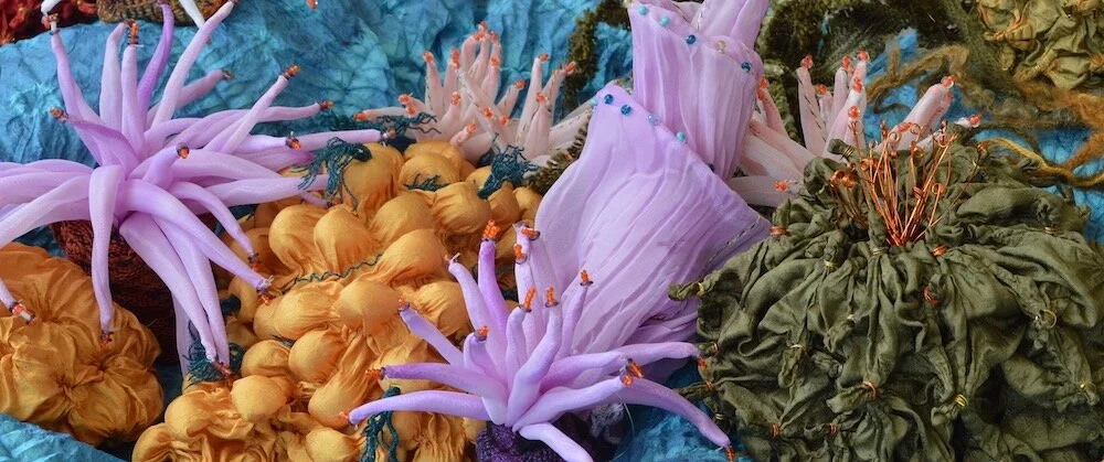 Port Angeles Fine Arts Center: Undersea Garden