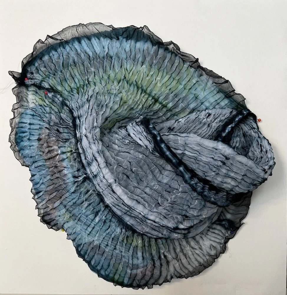 Spring Lake Reflection