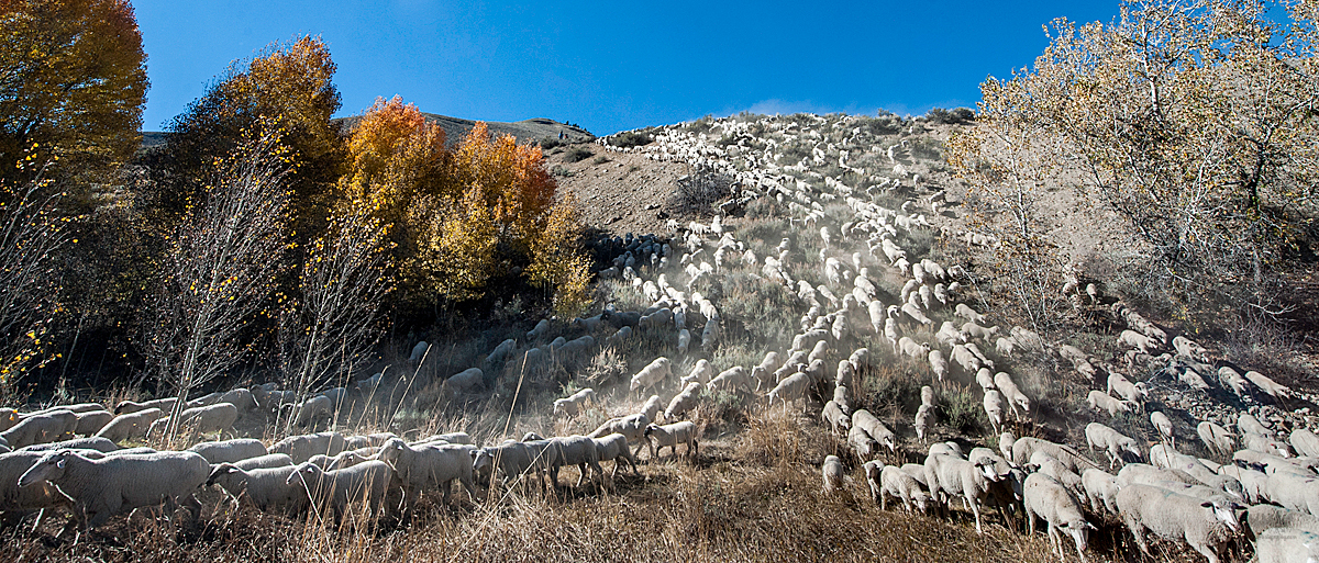 _DSC9574.jpg