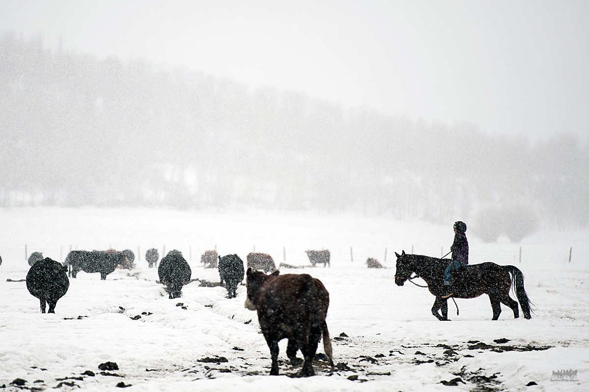 _DSC9664.jpg