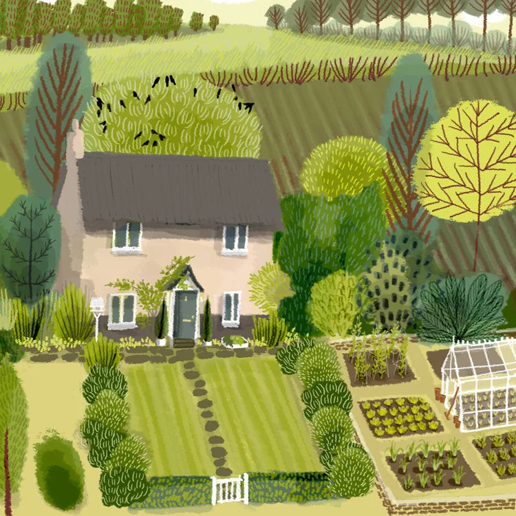 THE PINK HOUSE