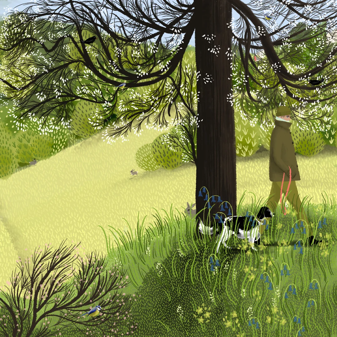 Spring Walk I