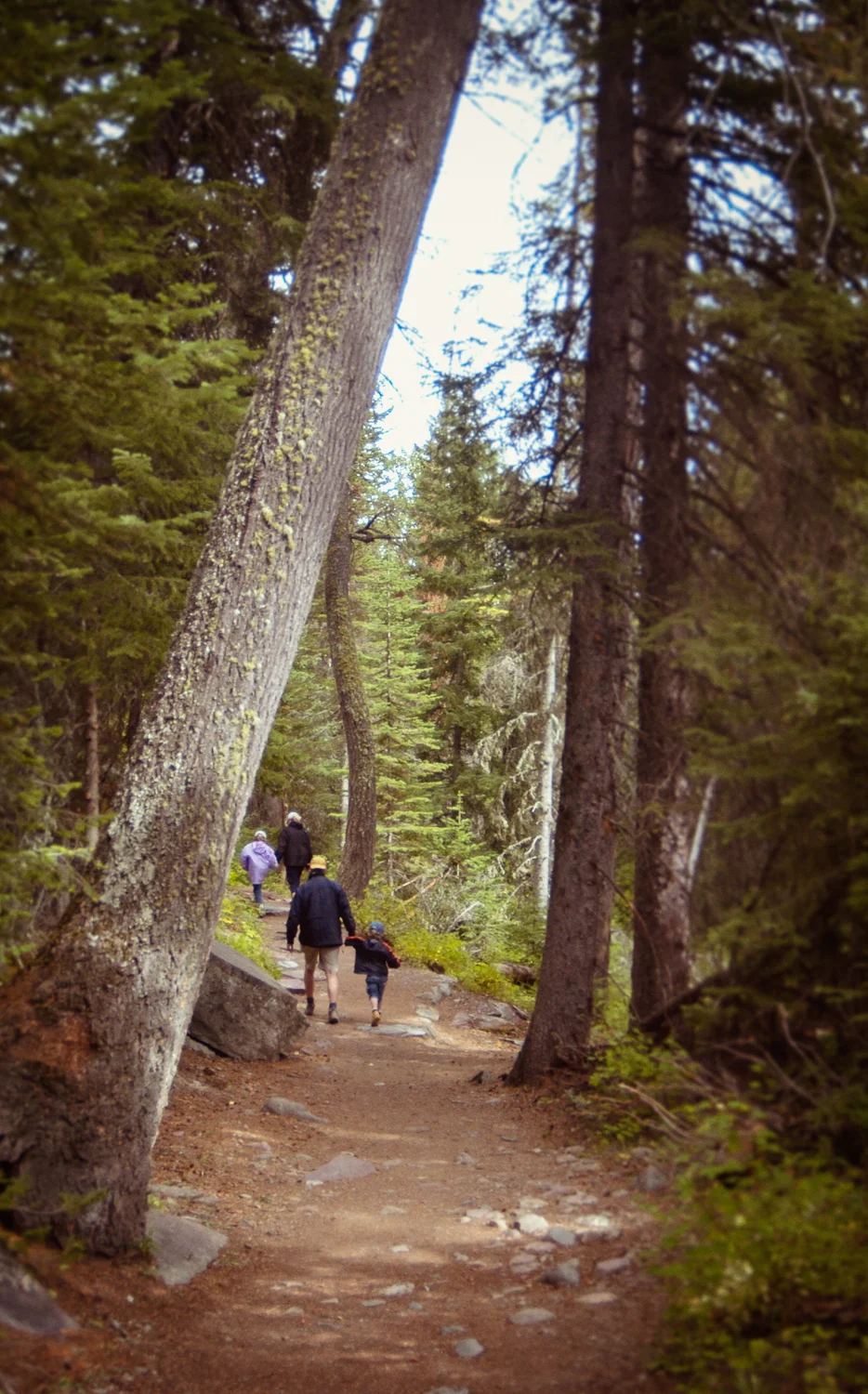 hikefinal.jpg