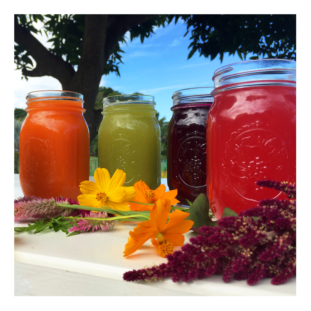 Juices-Rincon-Puerto-Rico-Garden-smoothies-healthy-fresh-coffee-Vegan-Vegetarian-Paleo-Gluten_free-Dairy_free-organic-carta_buena-About_Us.png