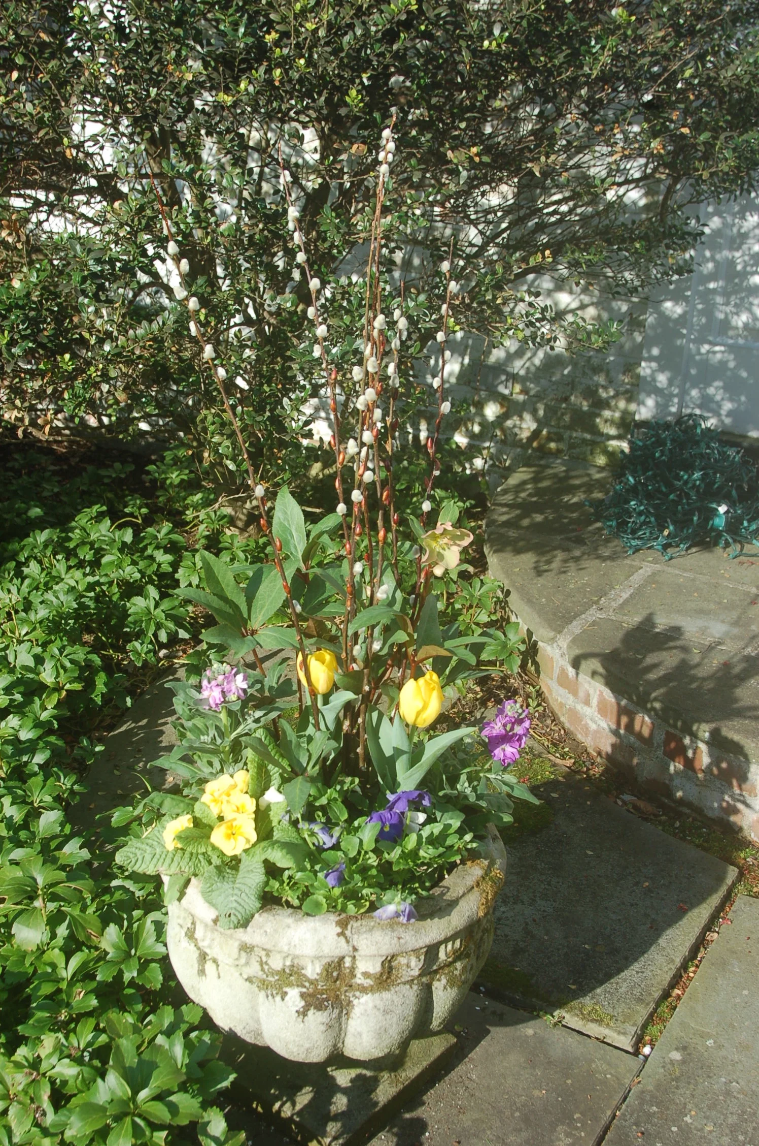 DSC_0871.jpg
