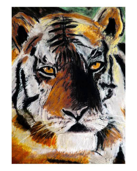 zelnioportfolio2 13.jpg