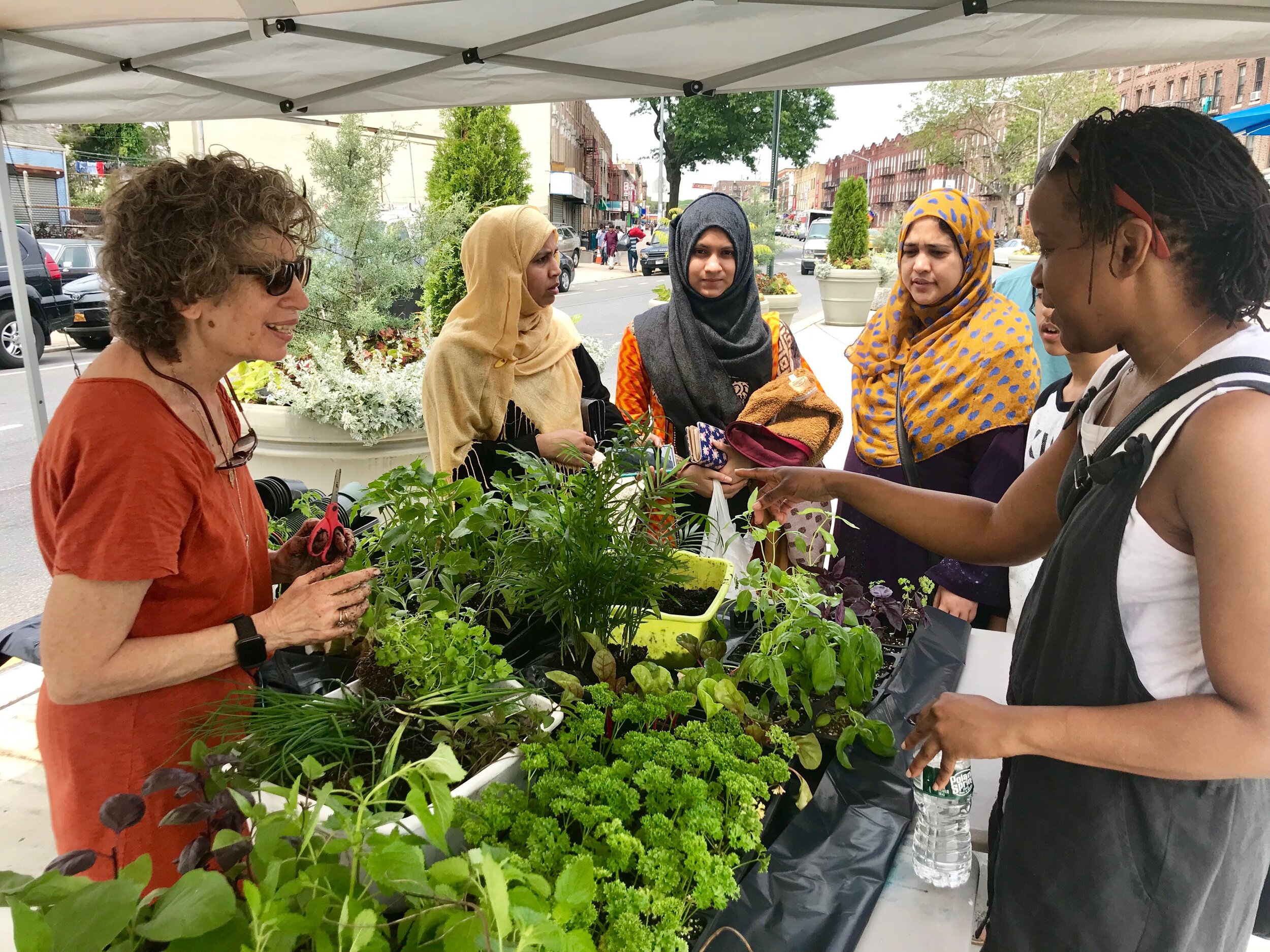 Cultural Planting (2018), photo: Esther Robinson, Artbuilt