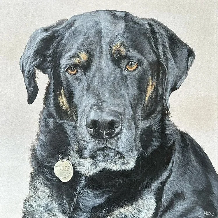 Custom realistic dog portrait of Moose by Ontario artist Carolyn Nikolai | Acrylic on gallery-wrapped canvas, 20 x 20